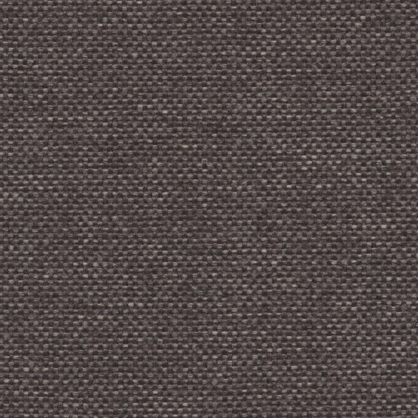 Roccia | 004 | 2501 | 02