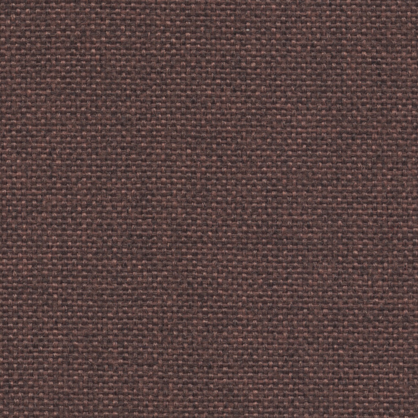 Roccia | 005 | 2503 | 02