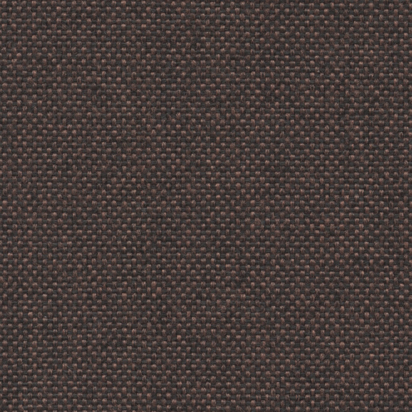 Roccia | 006 | 2504 | 02