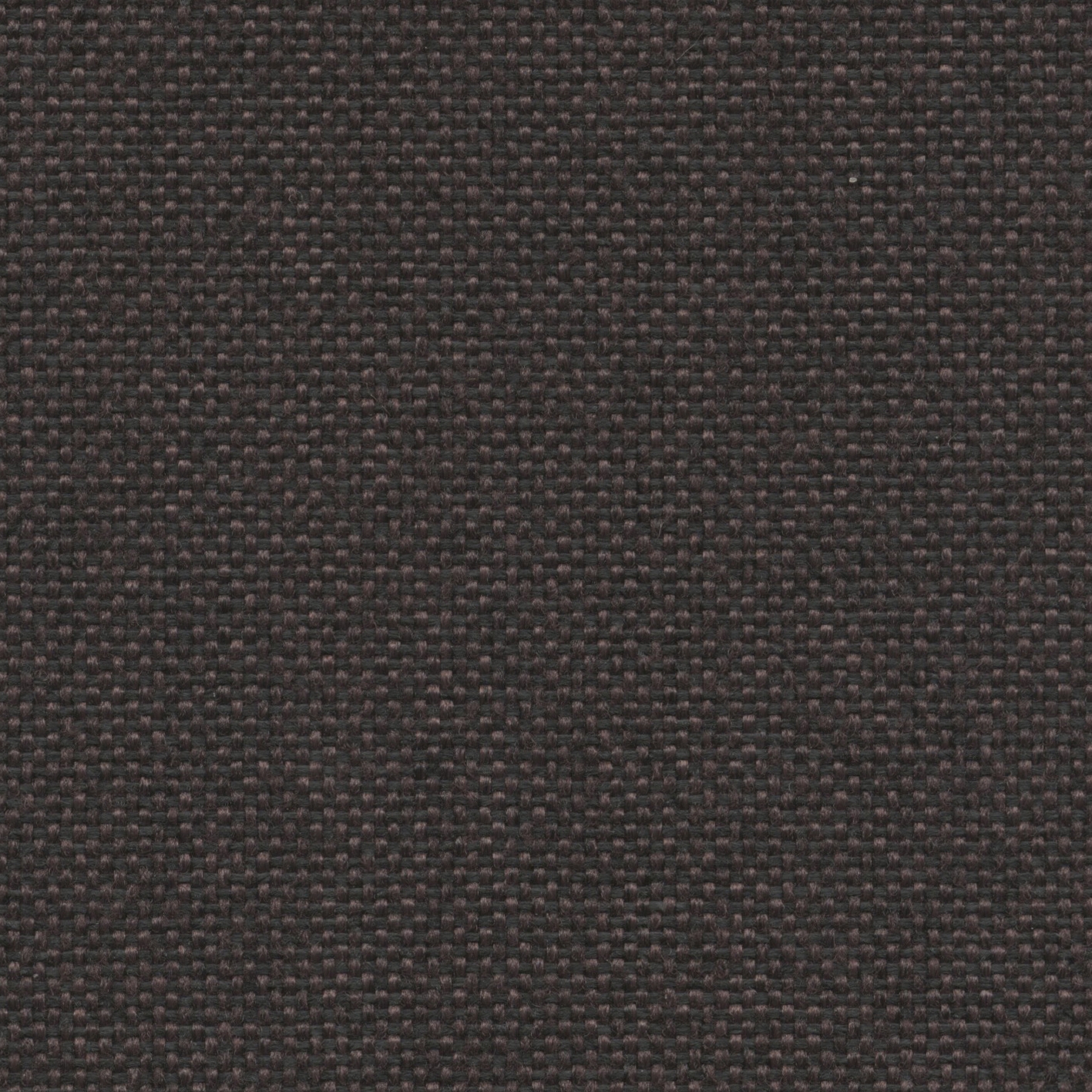 Roccia | 007 | 2505 | 02