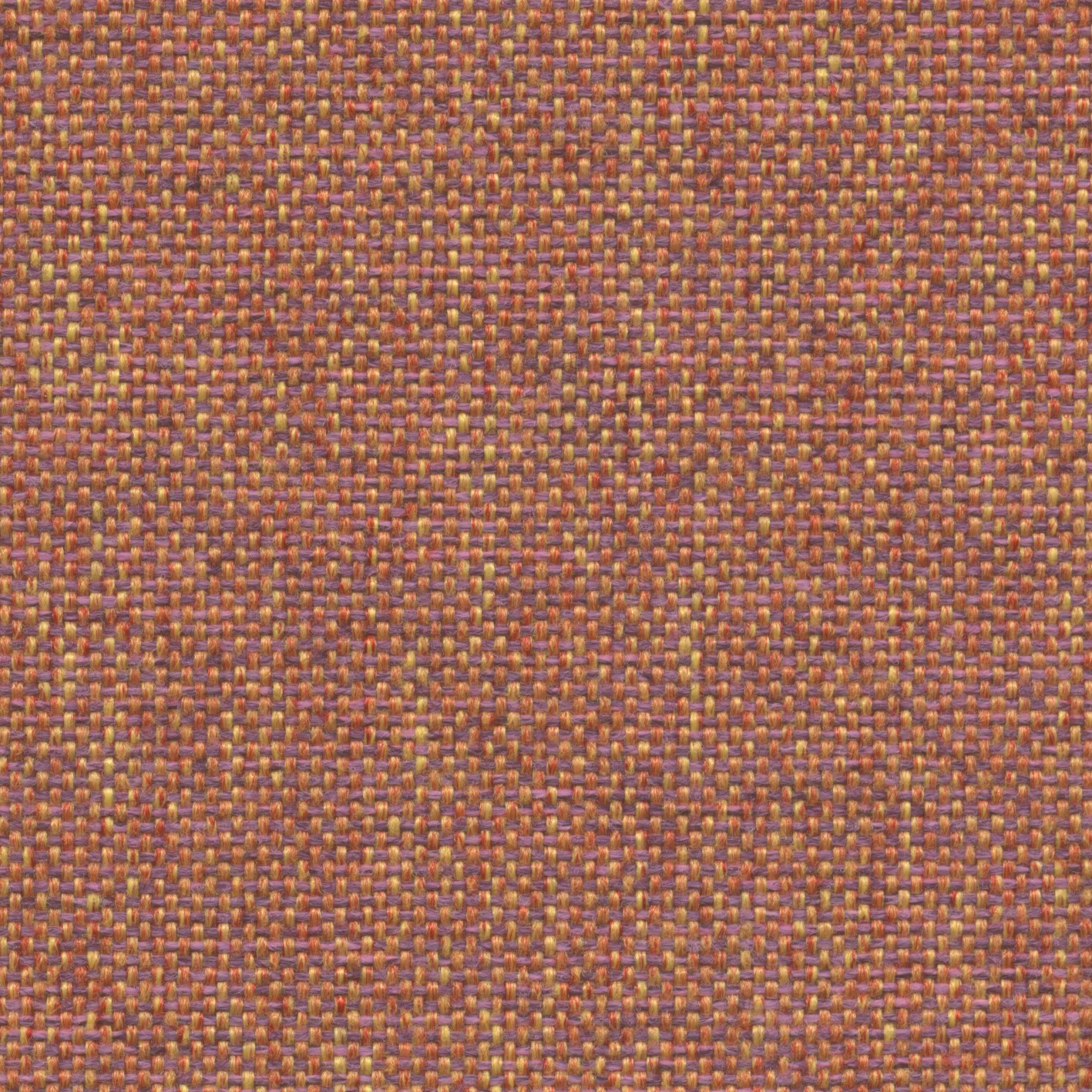 Roccia | 013 | 5504 | 05