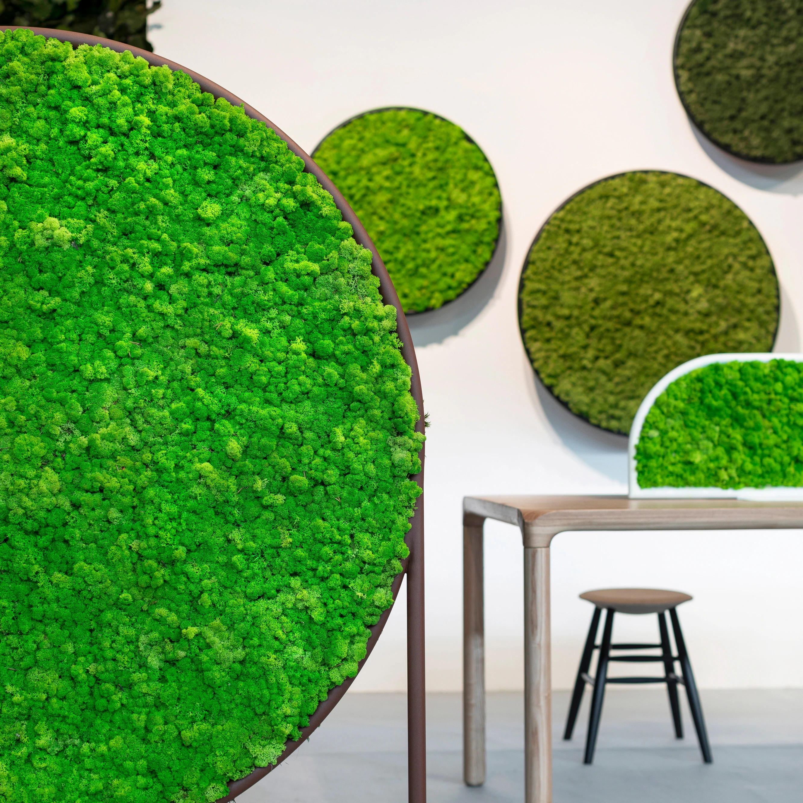 Design Collection