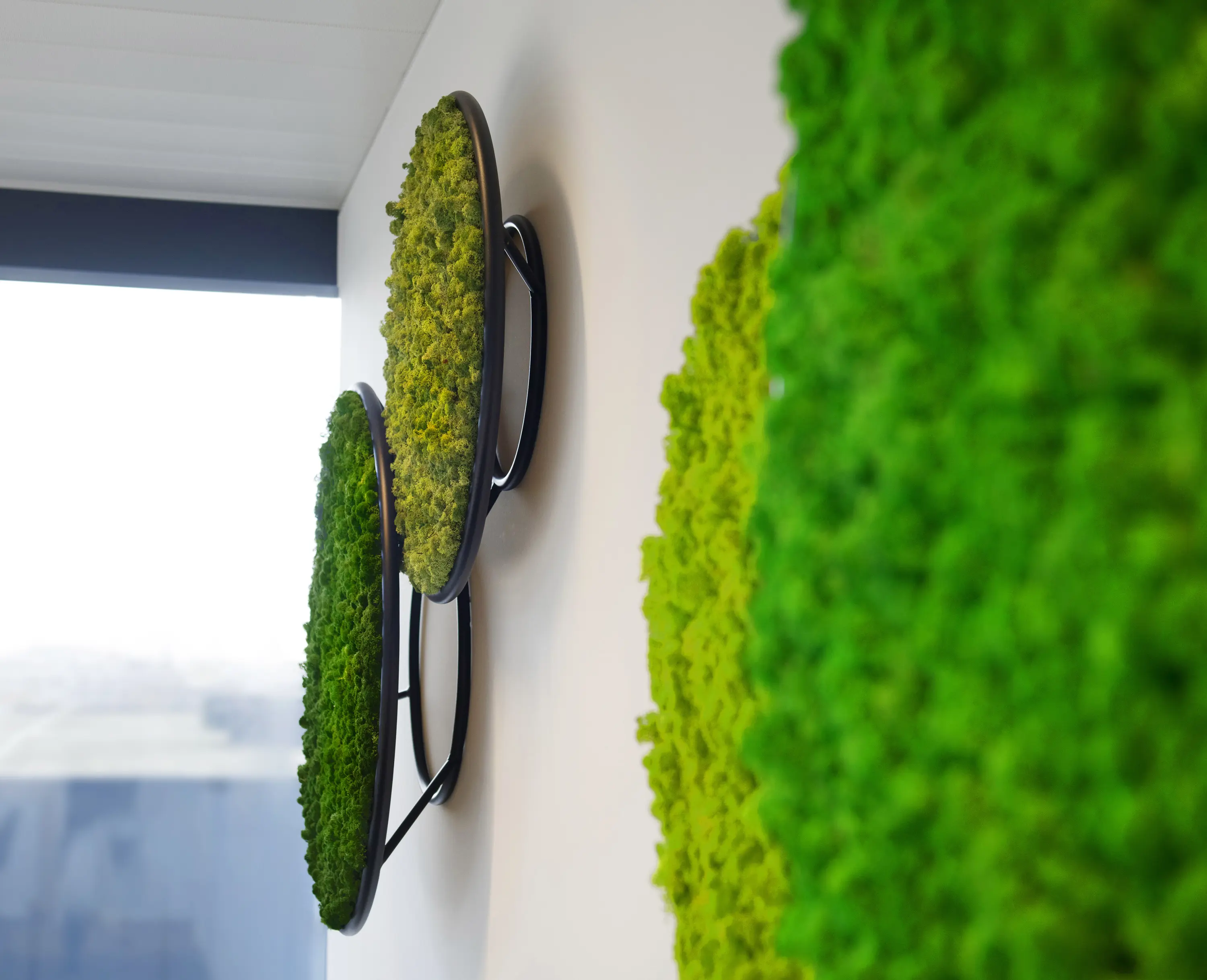 Greenmood - G-Circle