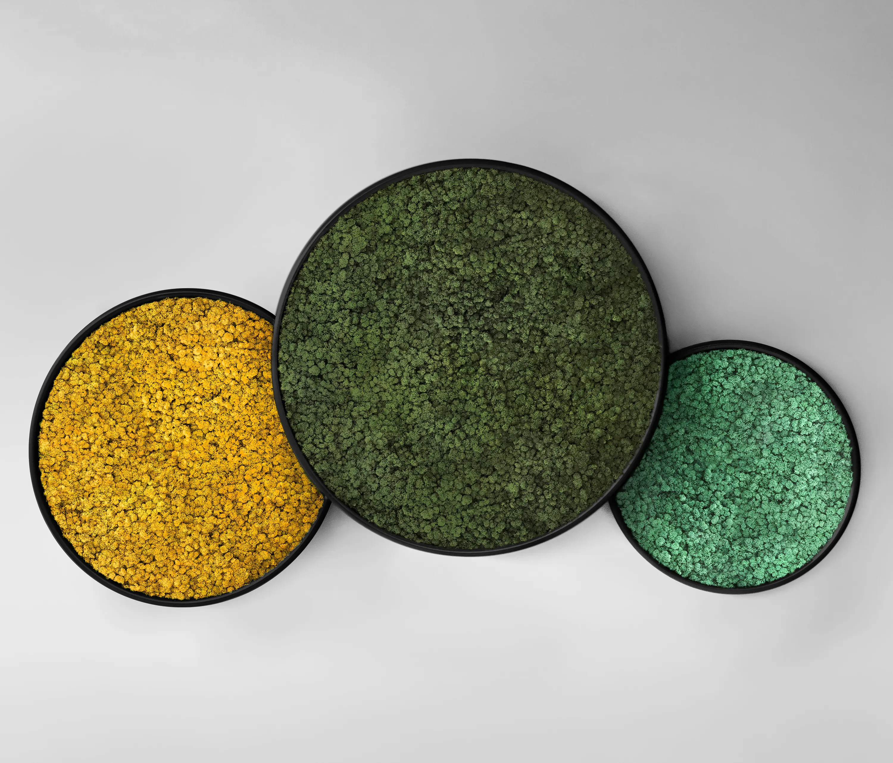 Greenmood - G-Circle