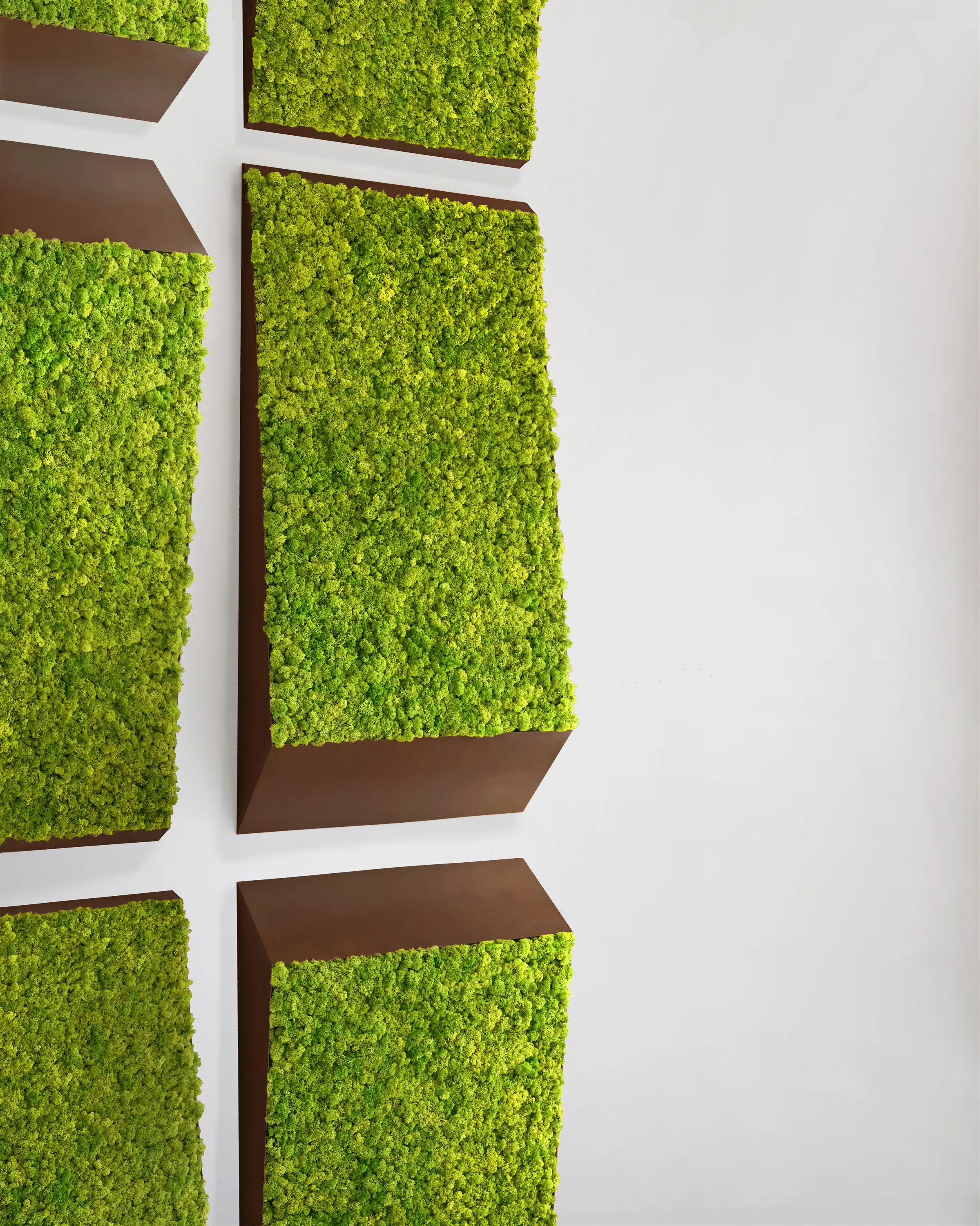 Greenmood - Perspective Lines