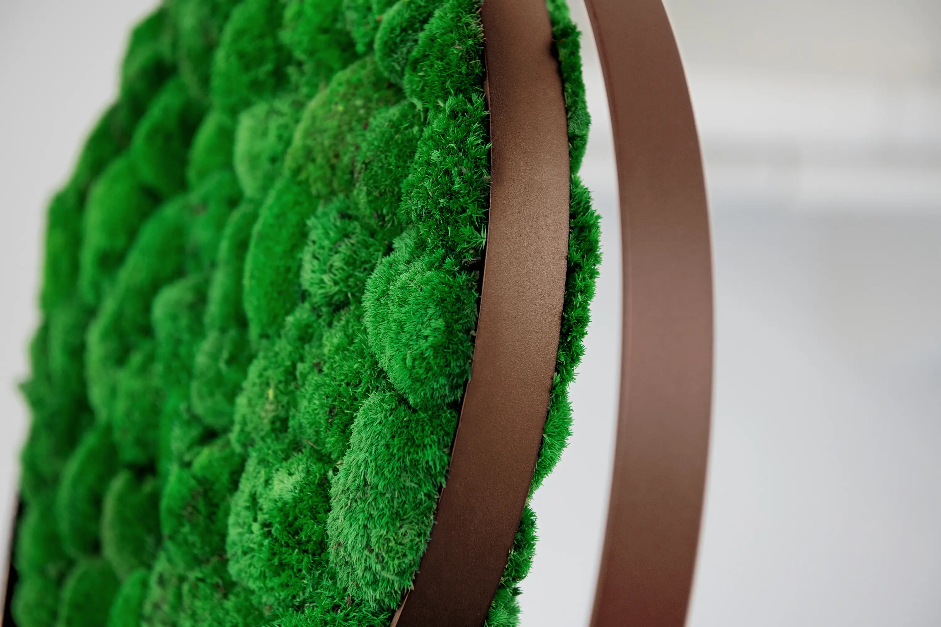 Greenmood - Rings