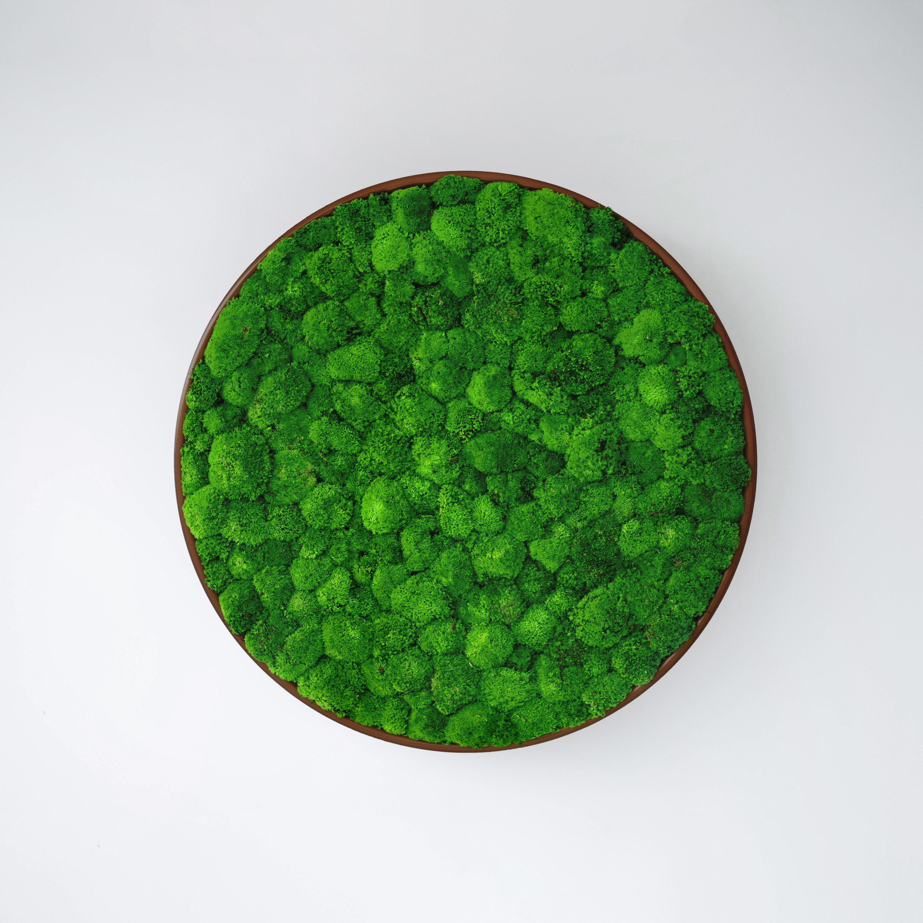 Display product G-Circle from manufacturer Greenmood