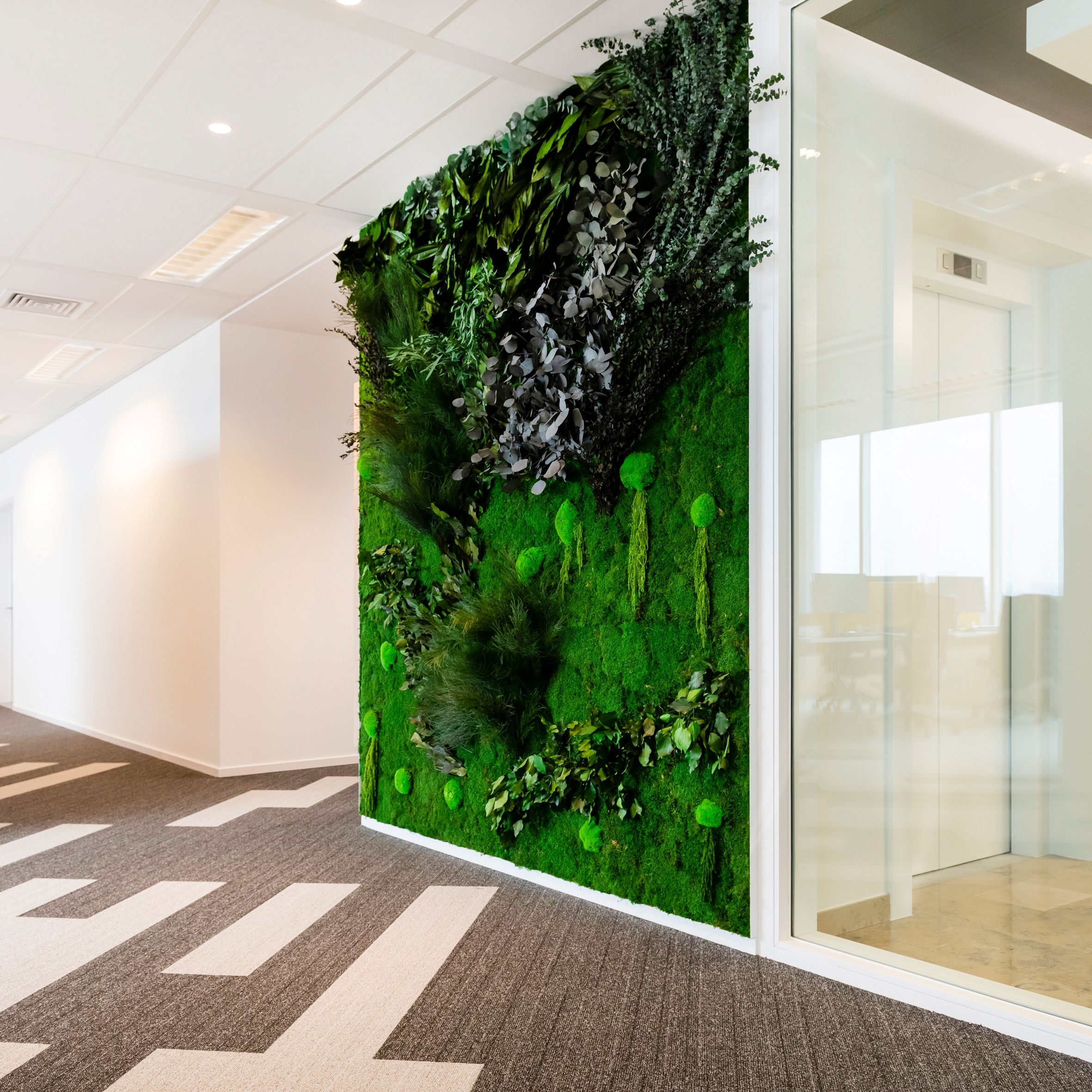 Display product Green Walls Sparse Forest from manufacturer Greenmood