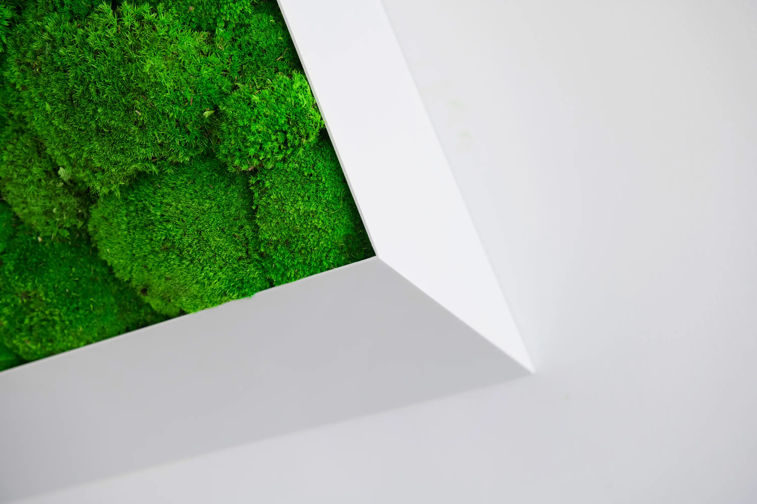 Greenmood - Perspective Lines