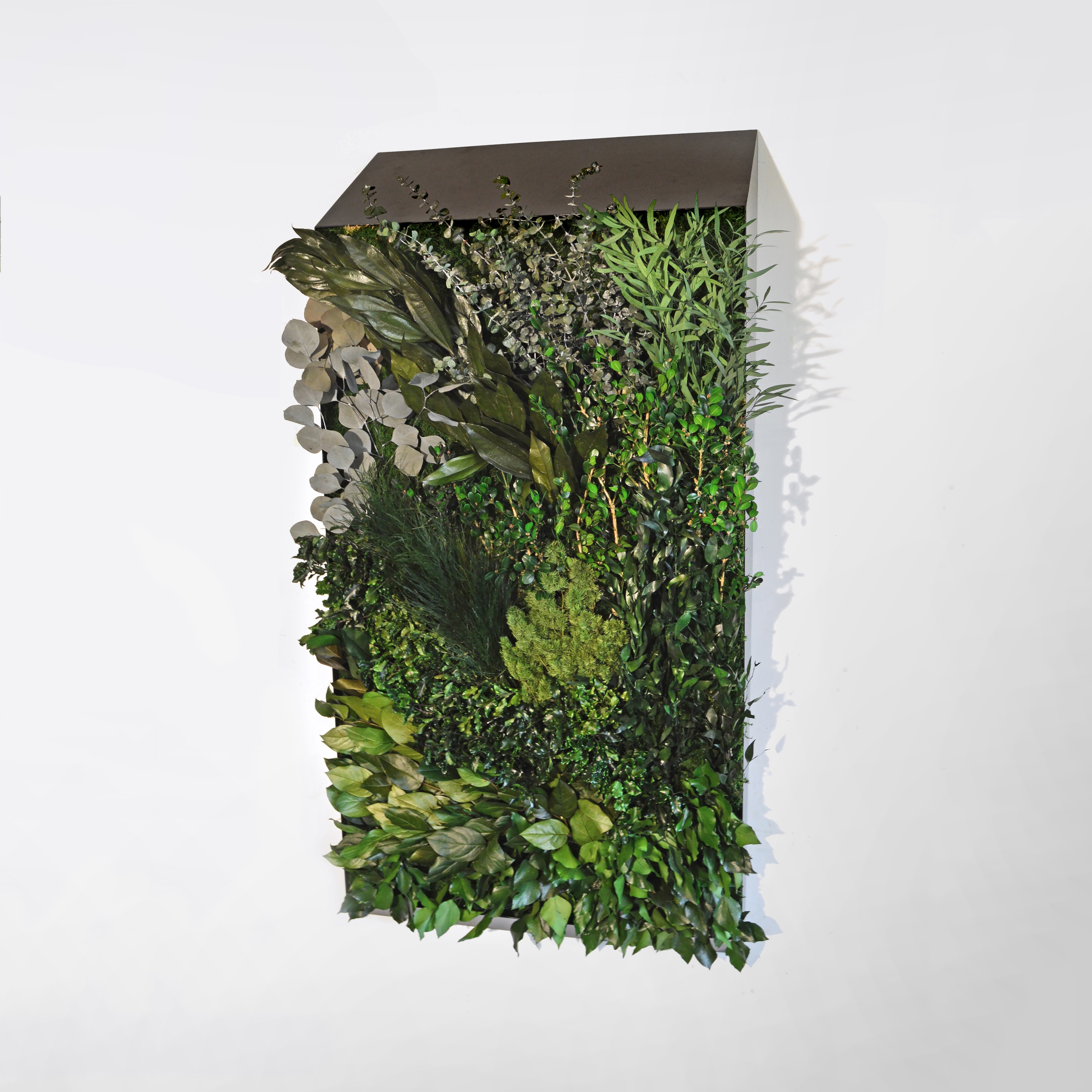 Display product Perspective Lines from manufacturer Greenmood