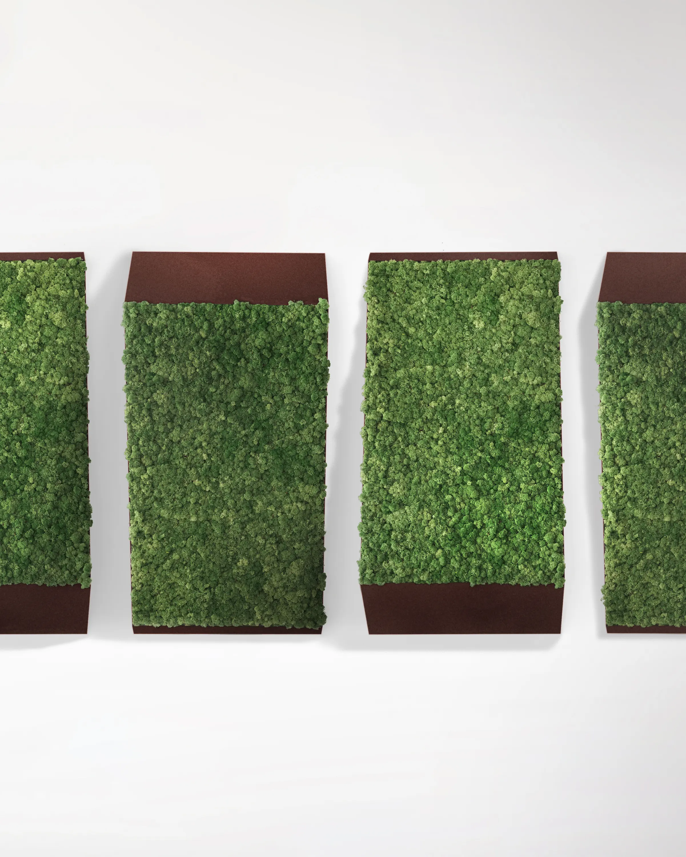 Greenmood - Perspective Lines