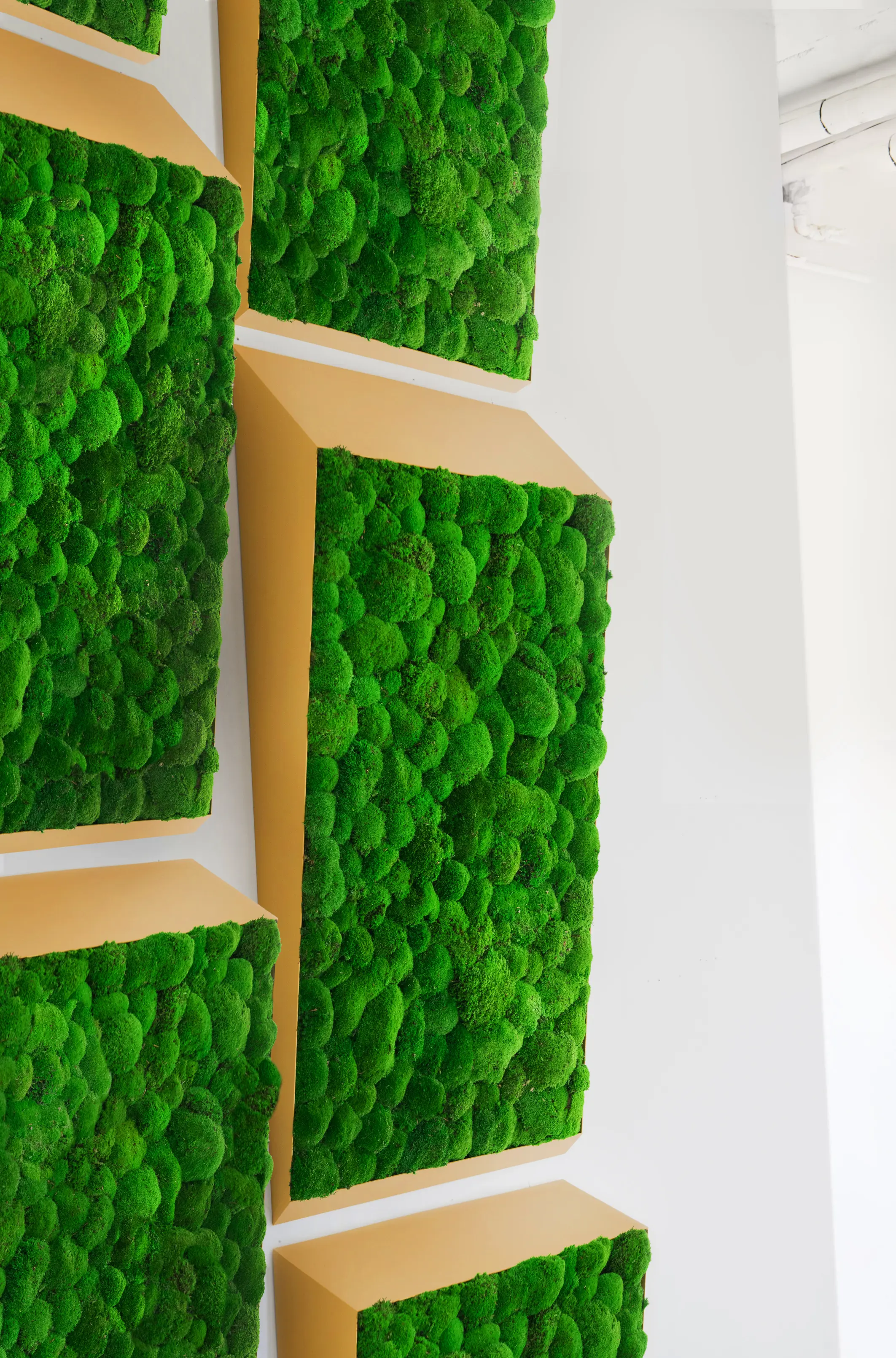 Greenmood - Perspective Lines