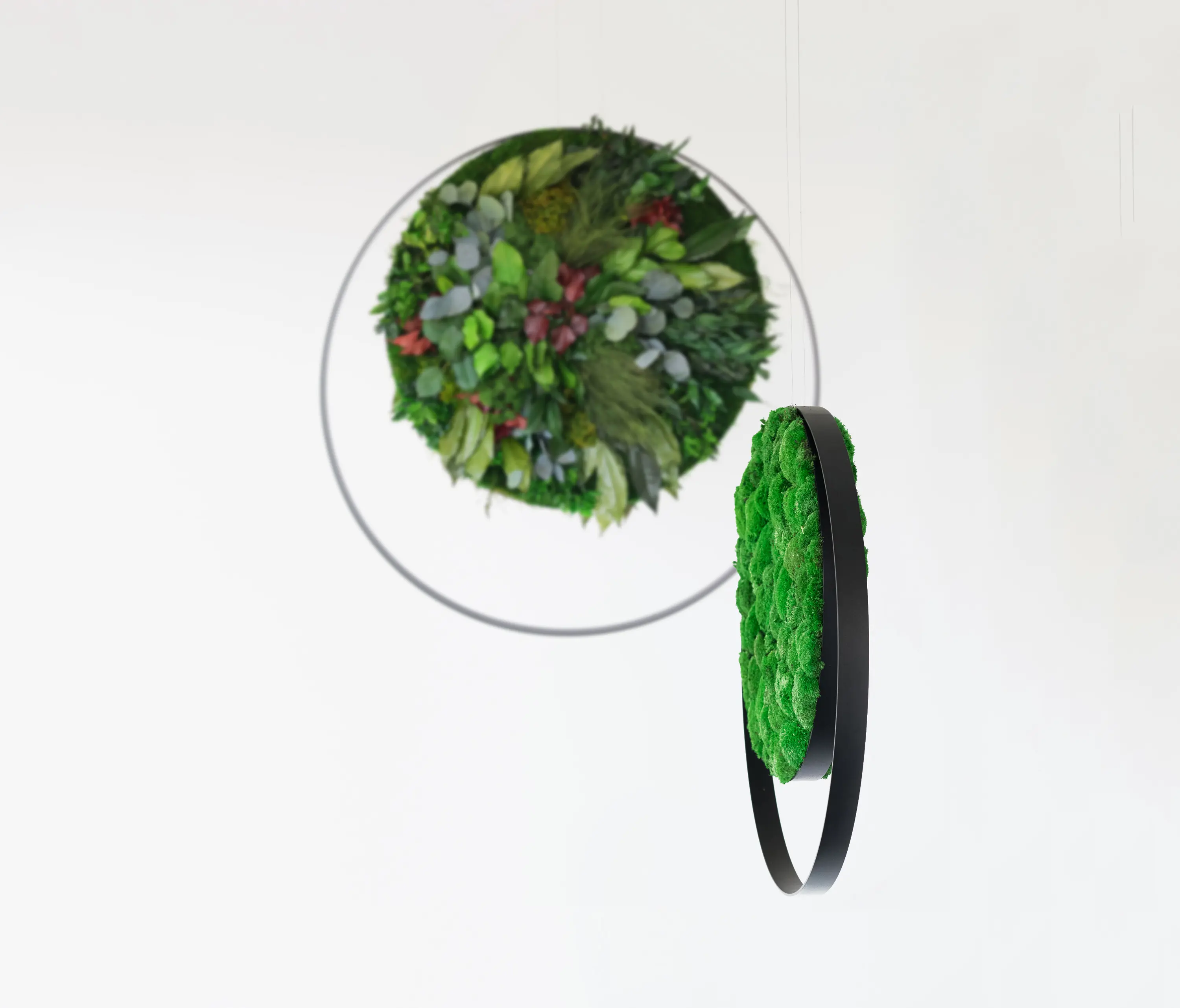 Greenmood - Rings