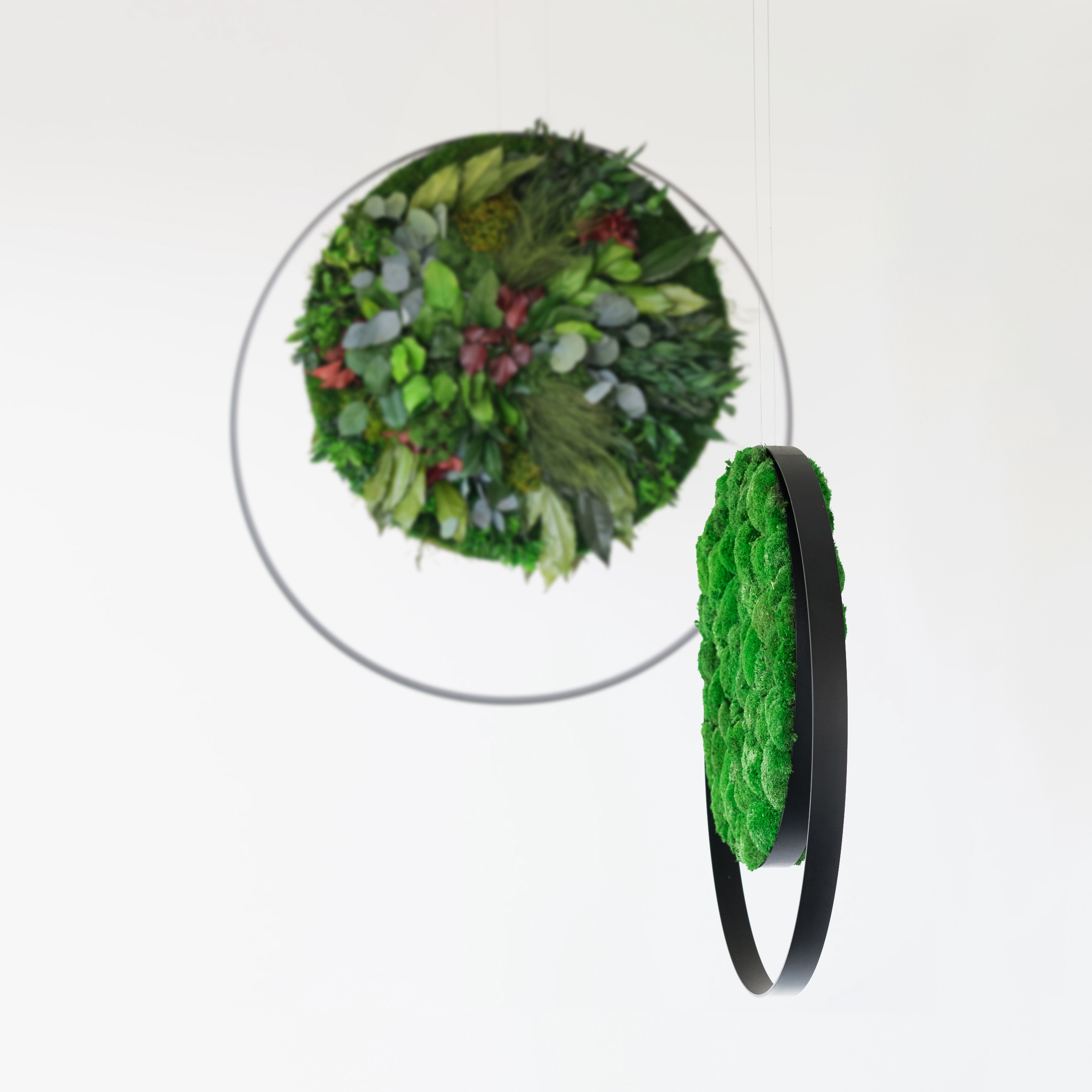 Display product Rings from manufacturer Greenmood