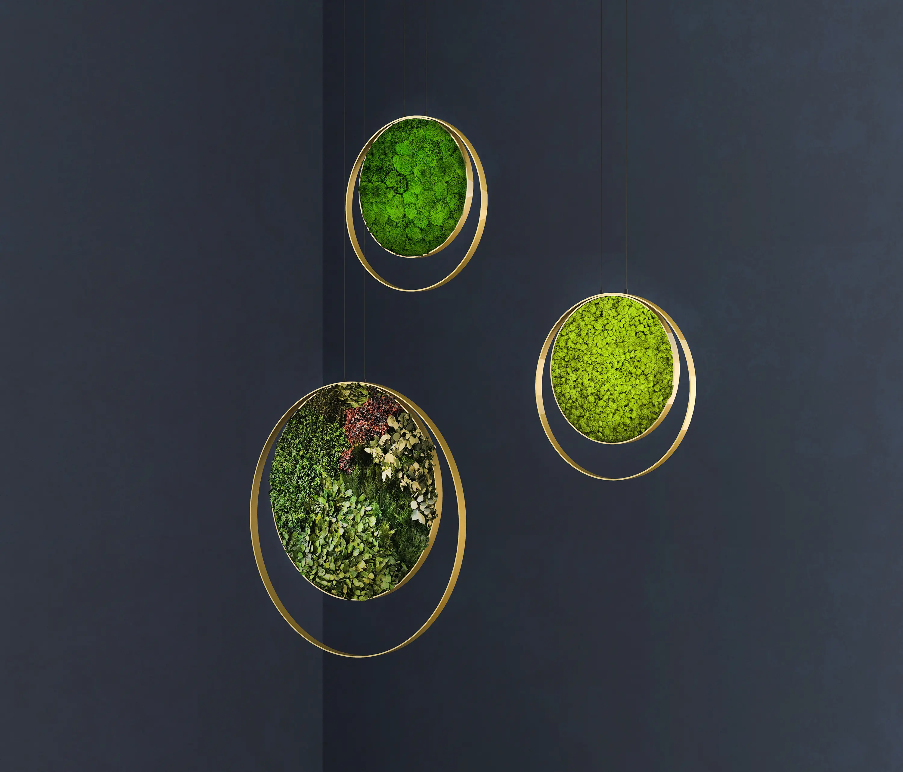 Greenmood - Rings