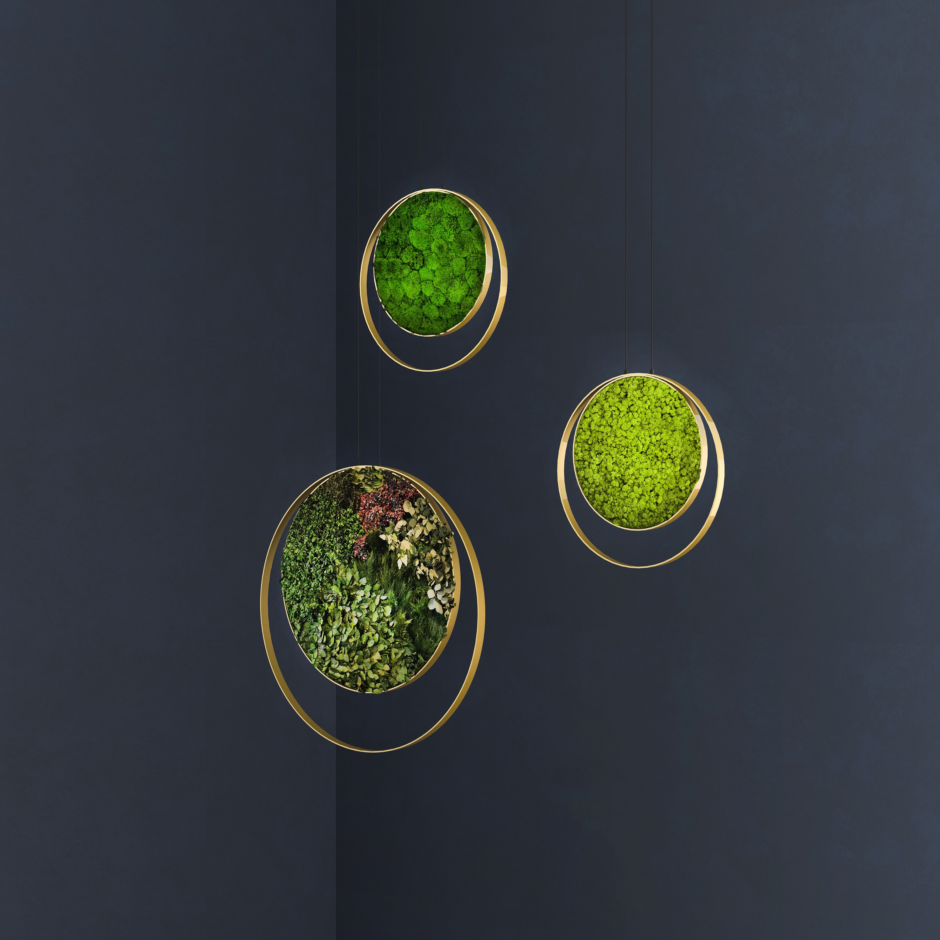 Display product Rings from manufacturer Greenmood