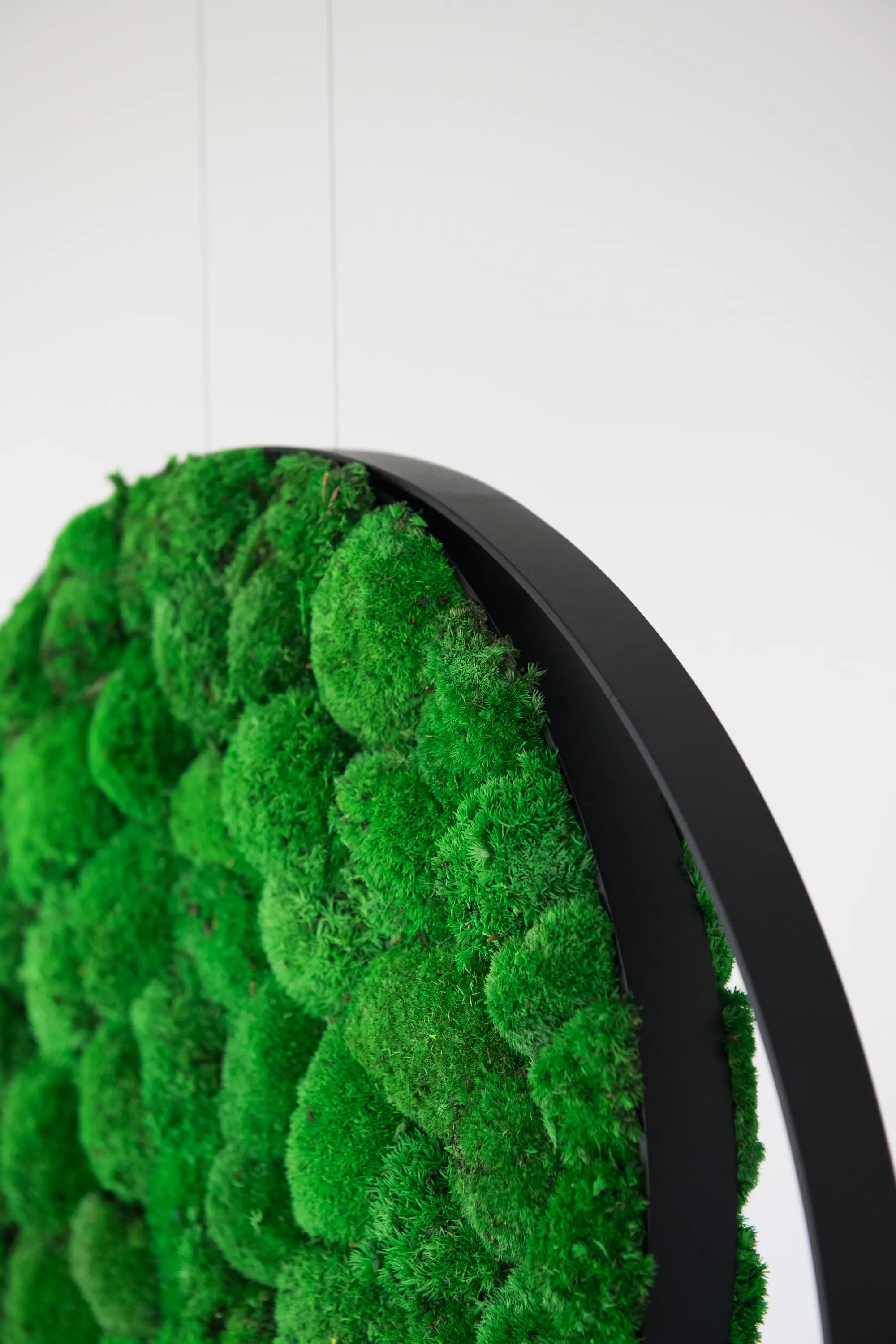 Greenmood - Rings