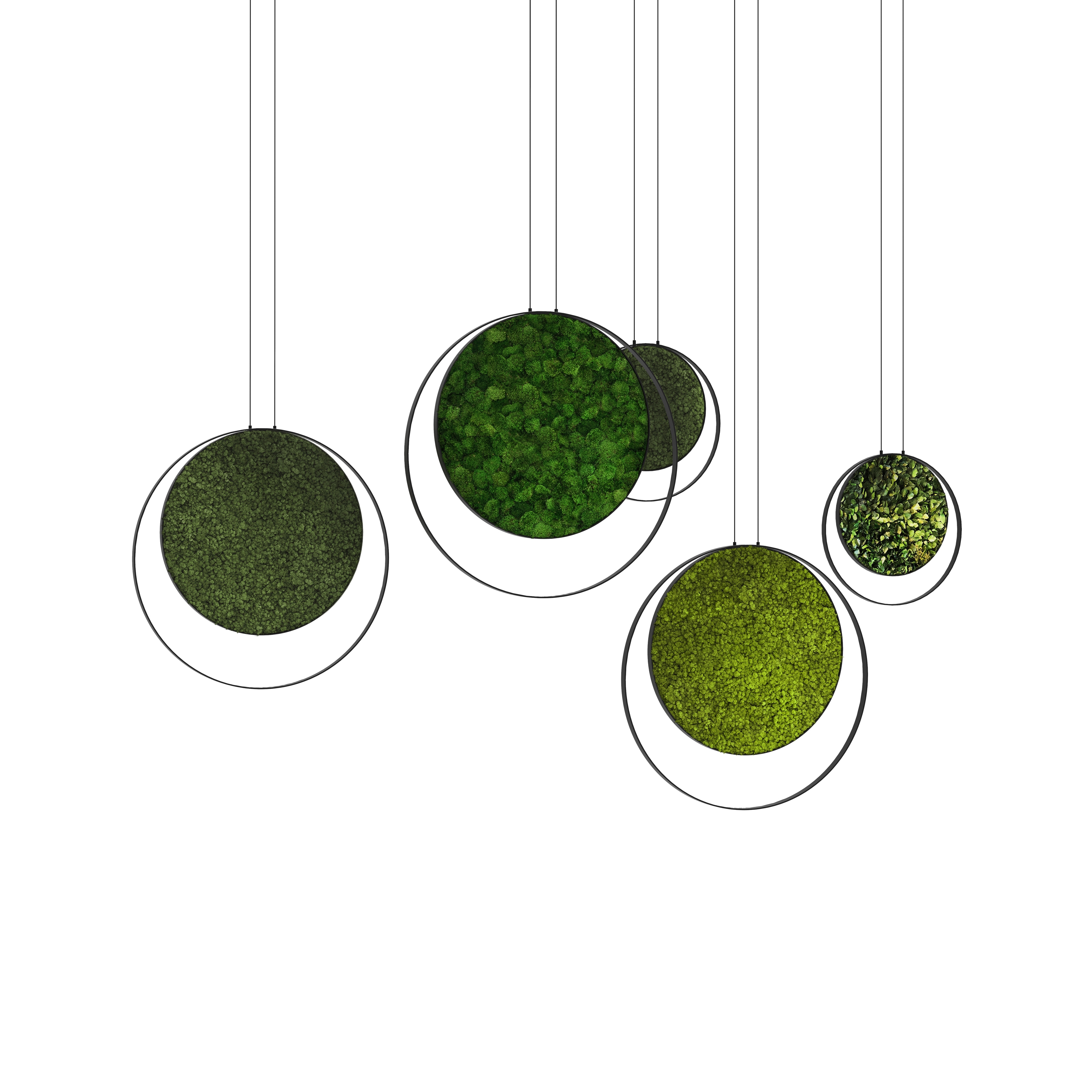 Display product Rings from manufacturer Greenmood