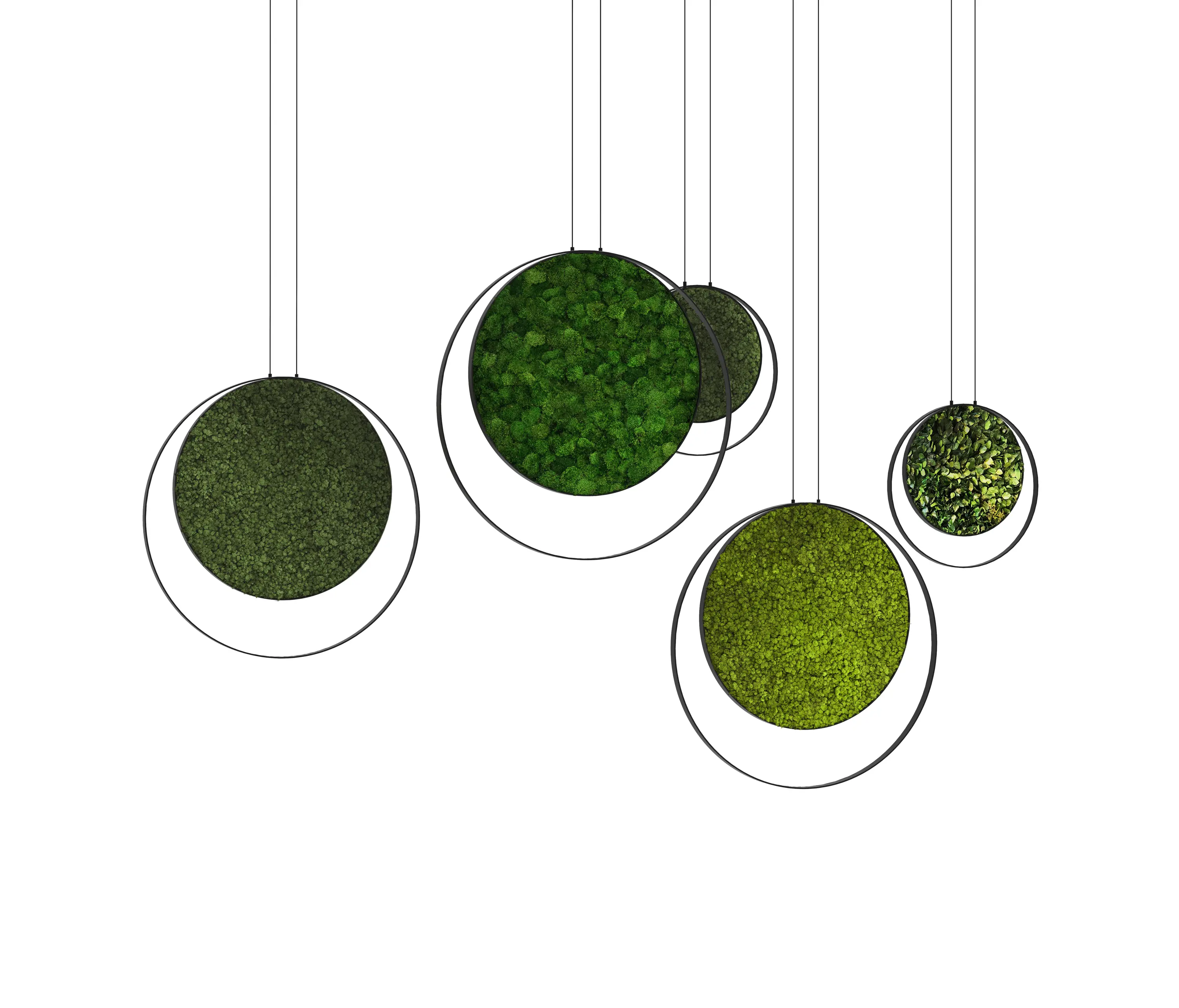 Greenmood - Rings