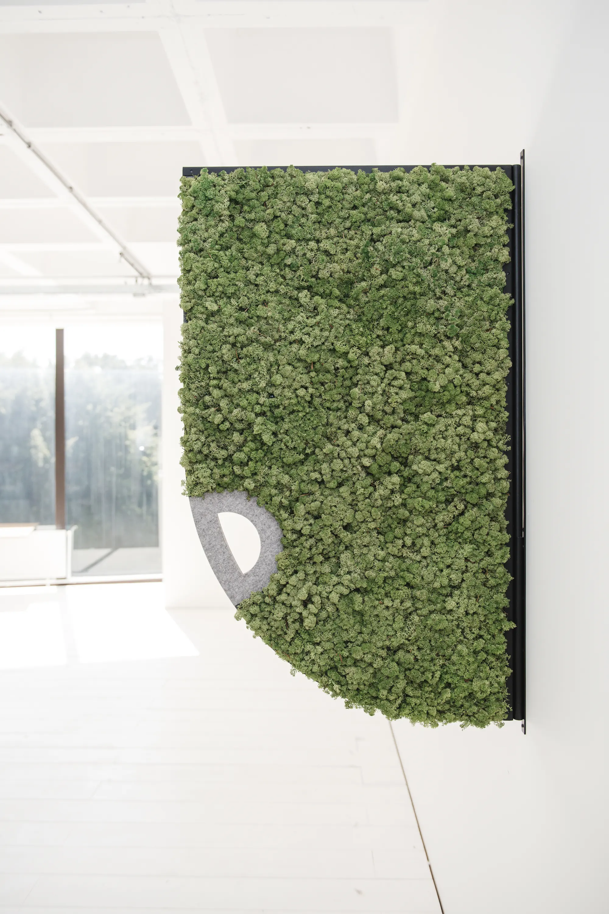 Greenmood - Comma