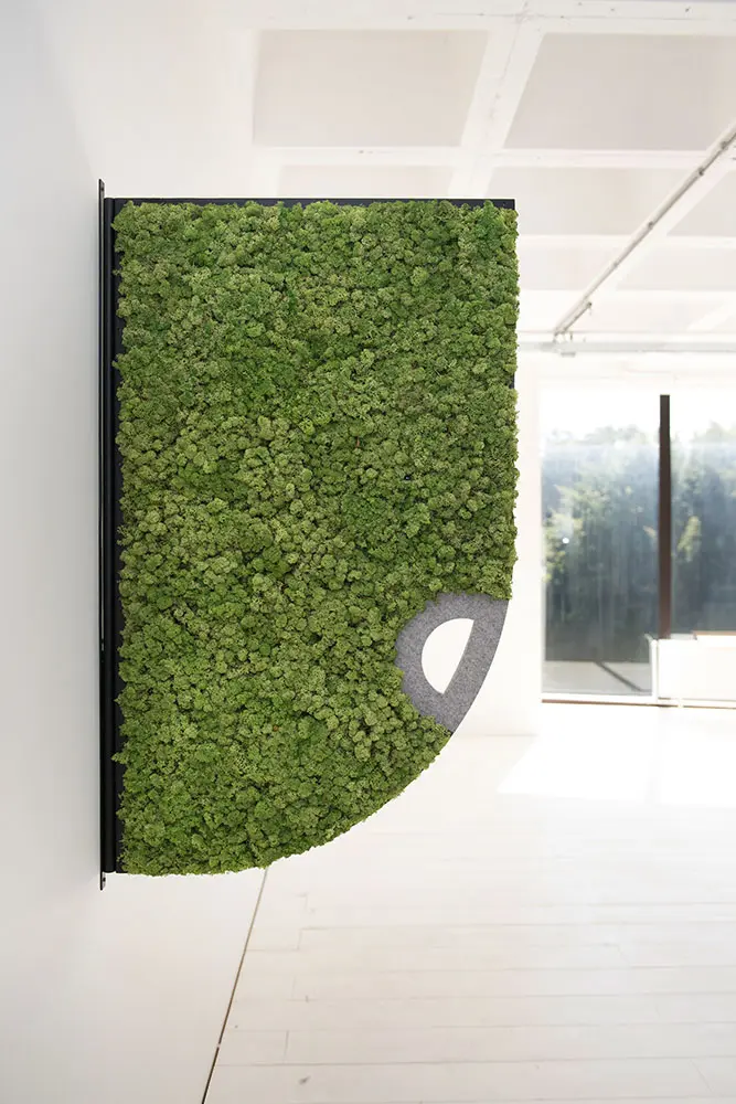Greenmood - Comma