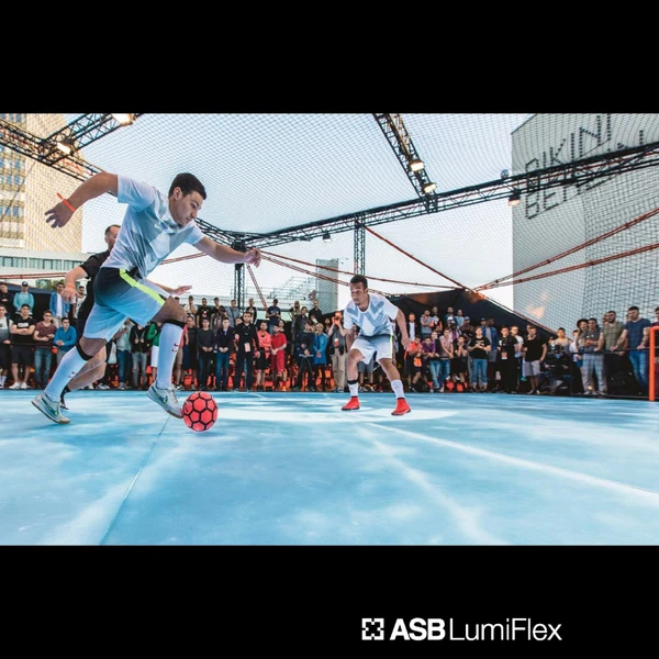 Preview image for the file Lumiflex Brochure