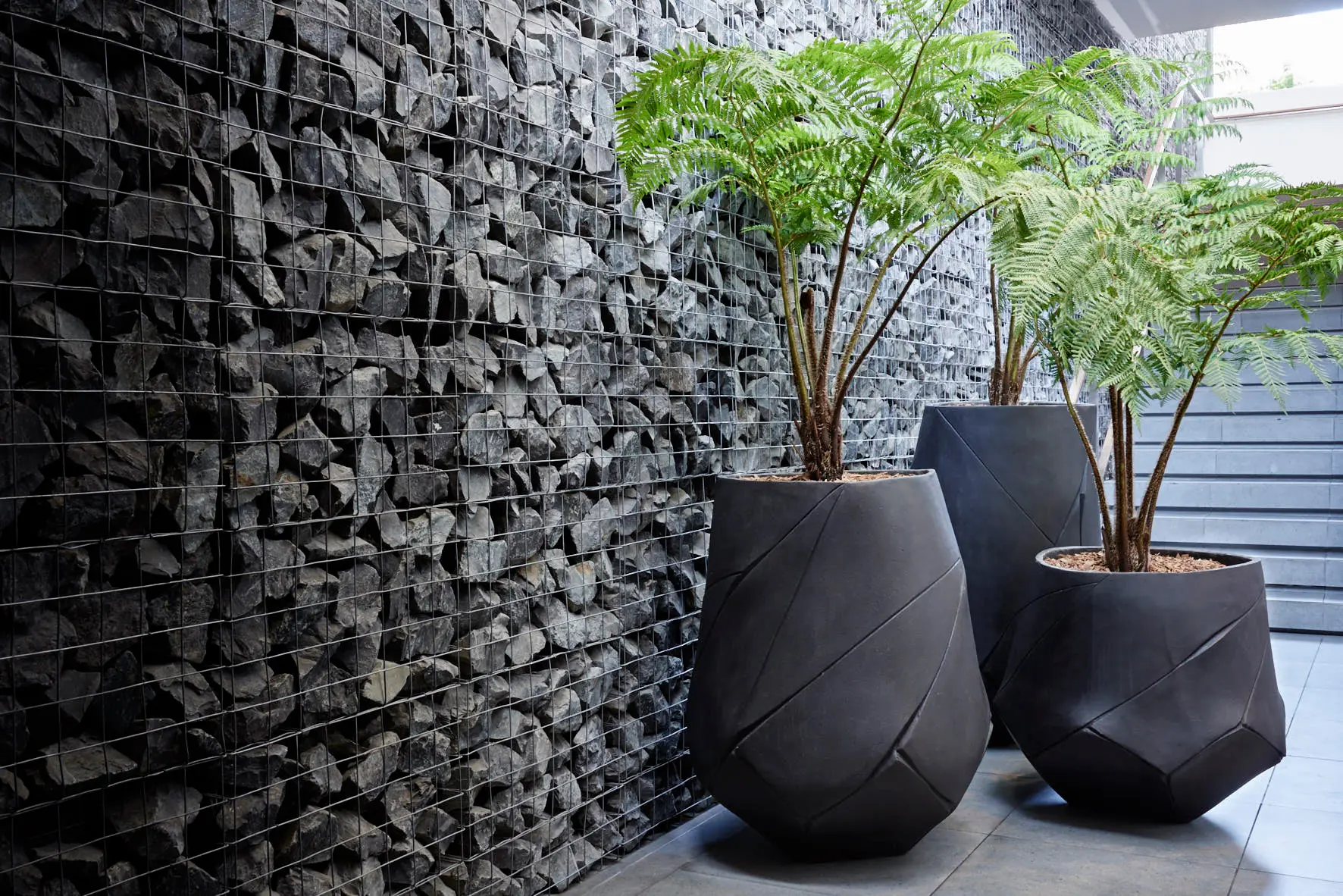 Indigenus - Bhaca Large