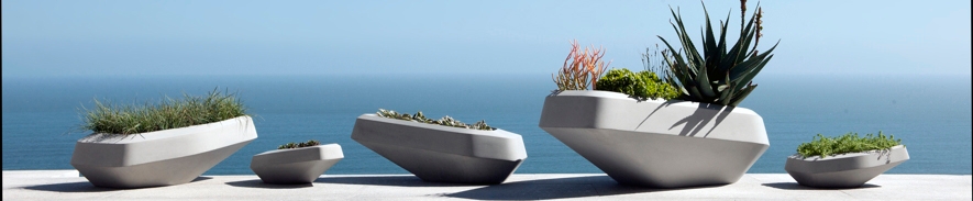 Discover the world of manufacturer Indigenus