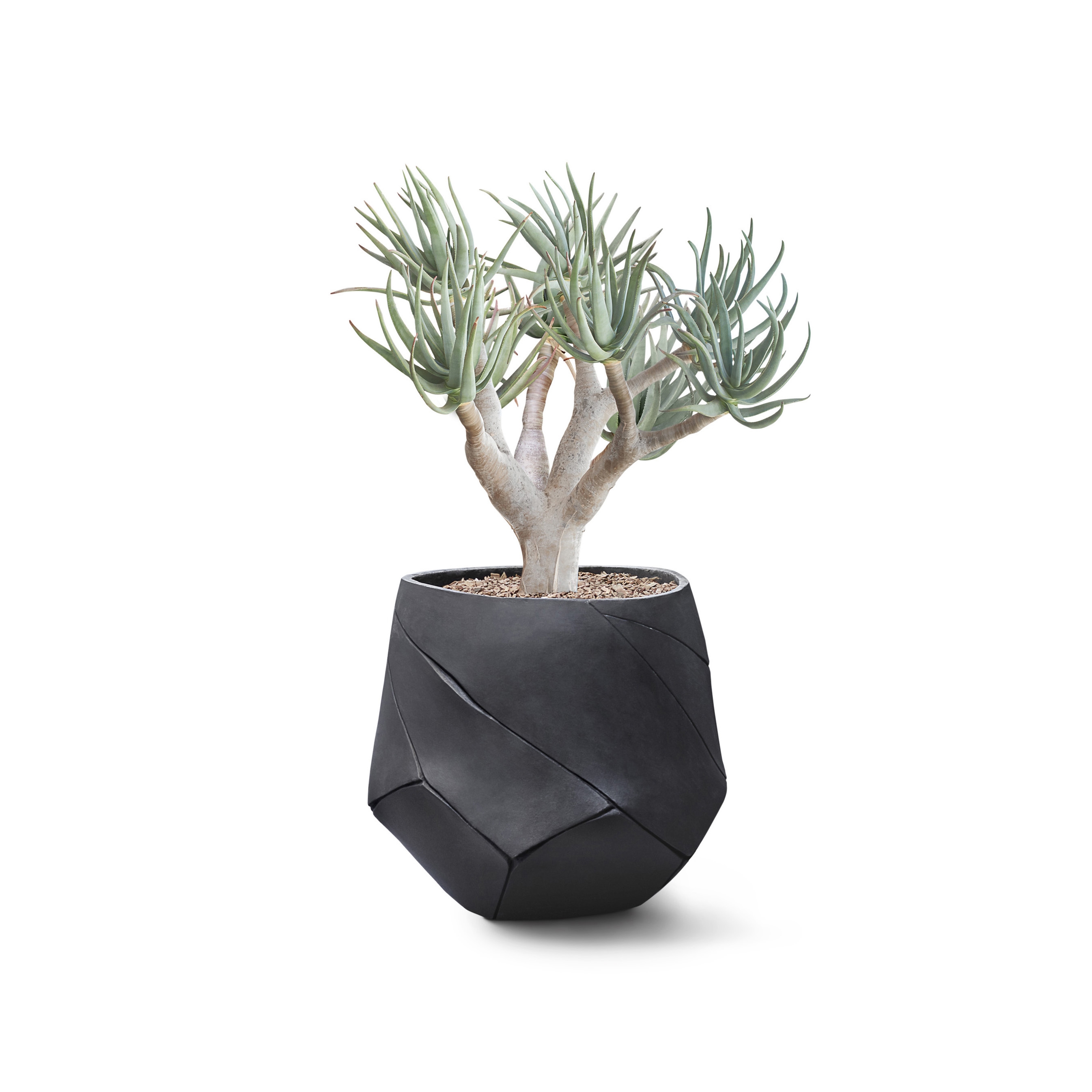Display product Bhaca Small from manufacturer Indigenus