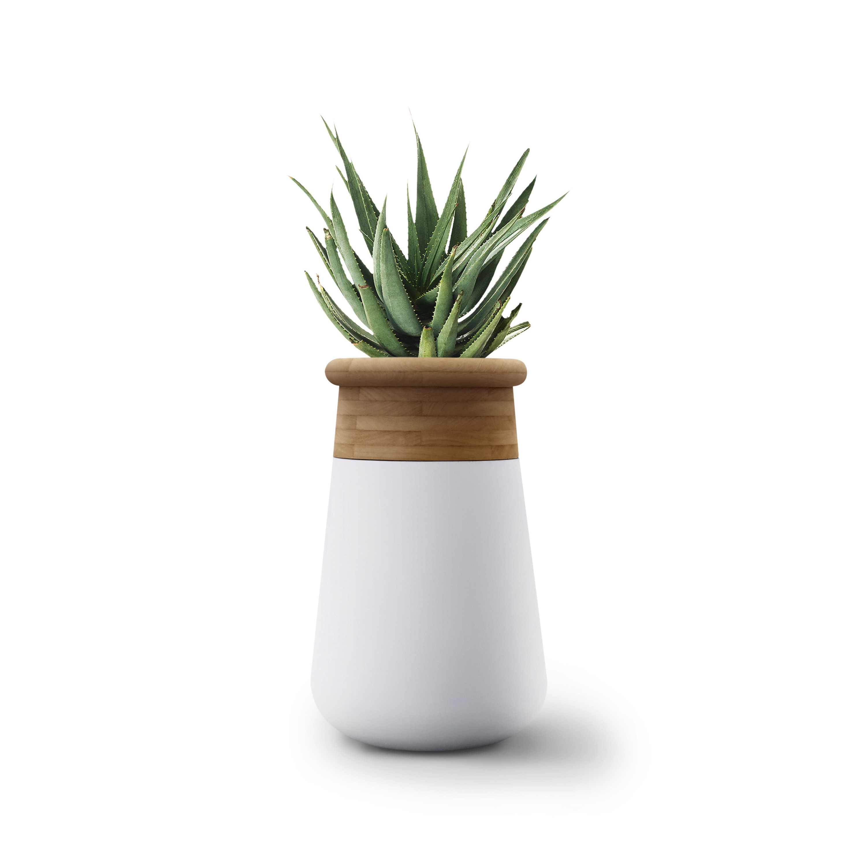 Produkt Soma L Wood Top des Herstellers Indigenus anzeigen