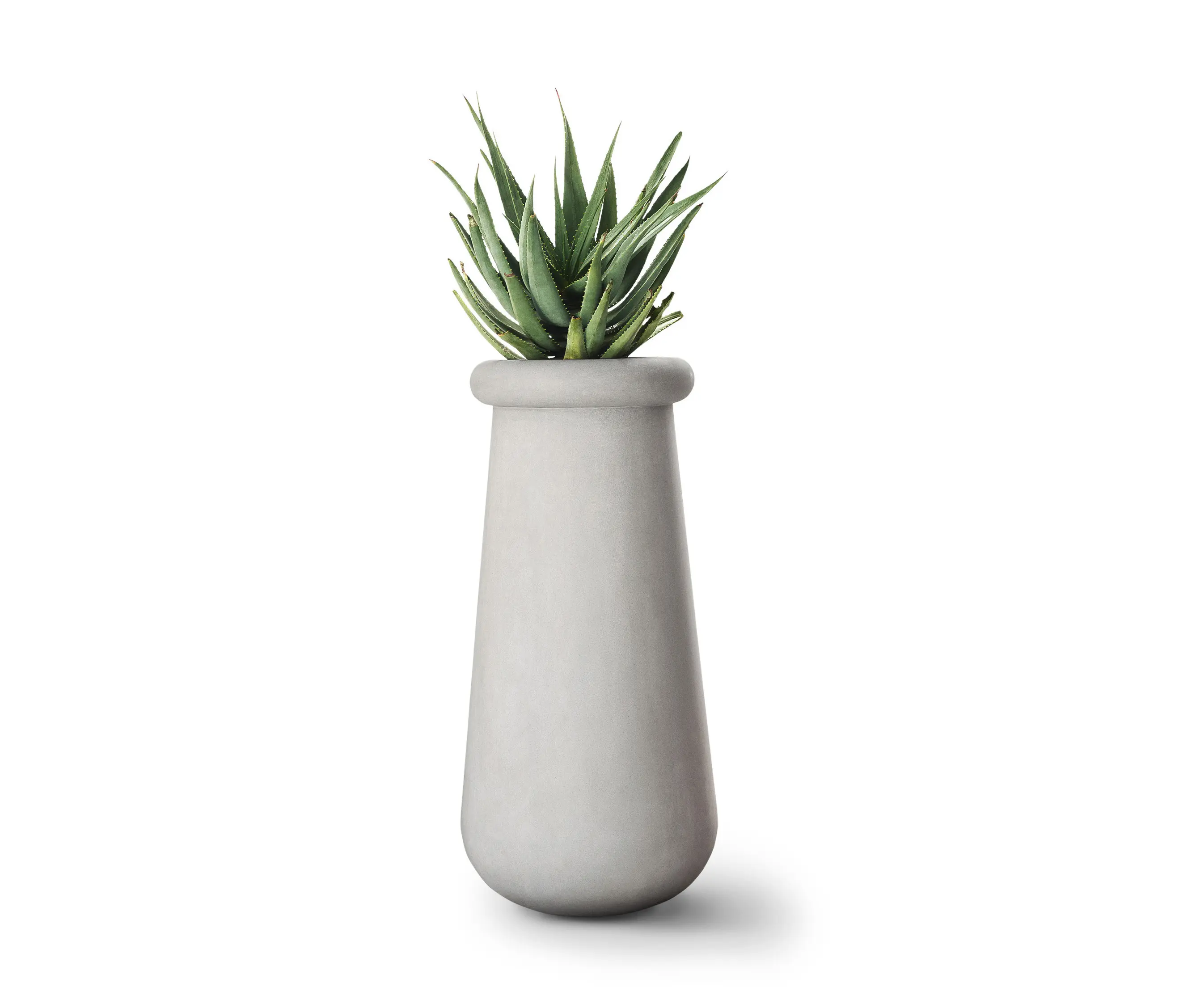 Indigenus - Soma Slim All Stone