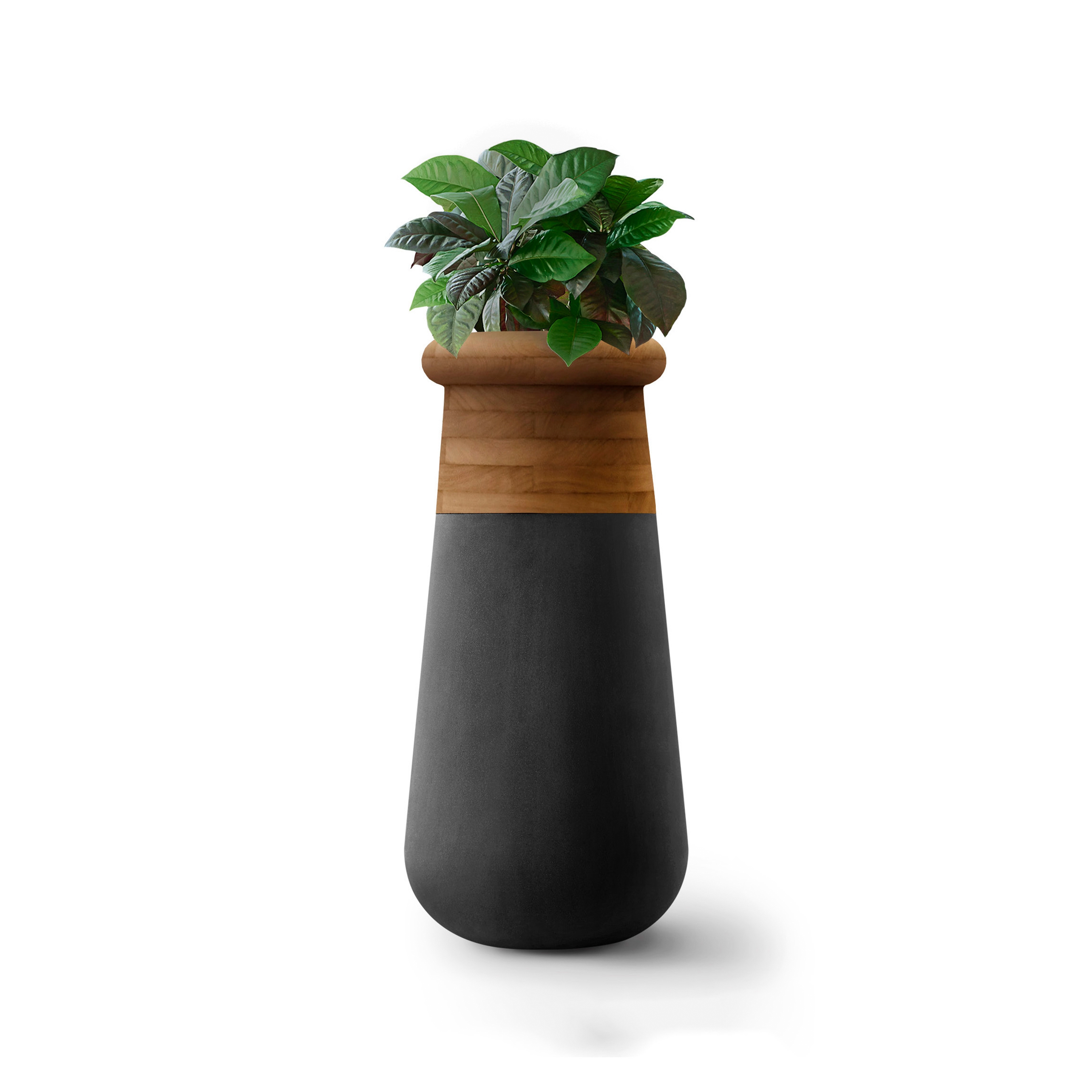 Produkt Soma Slim Wood Top des Herstellers Indigenus anzeigen