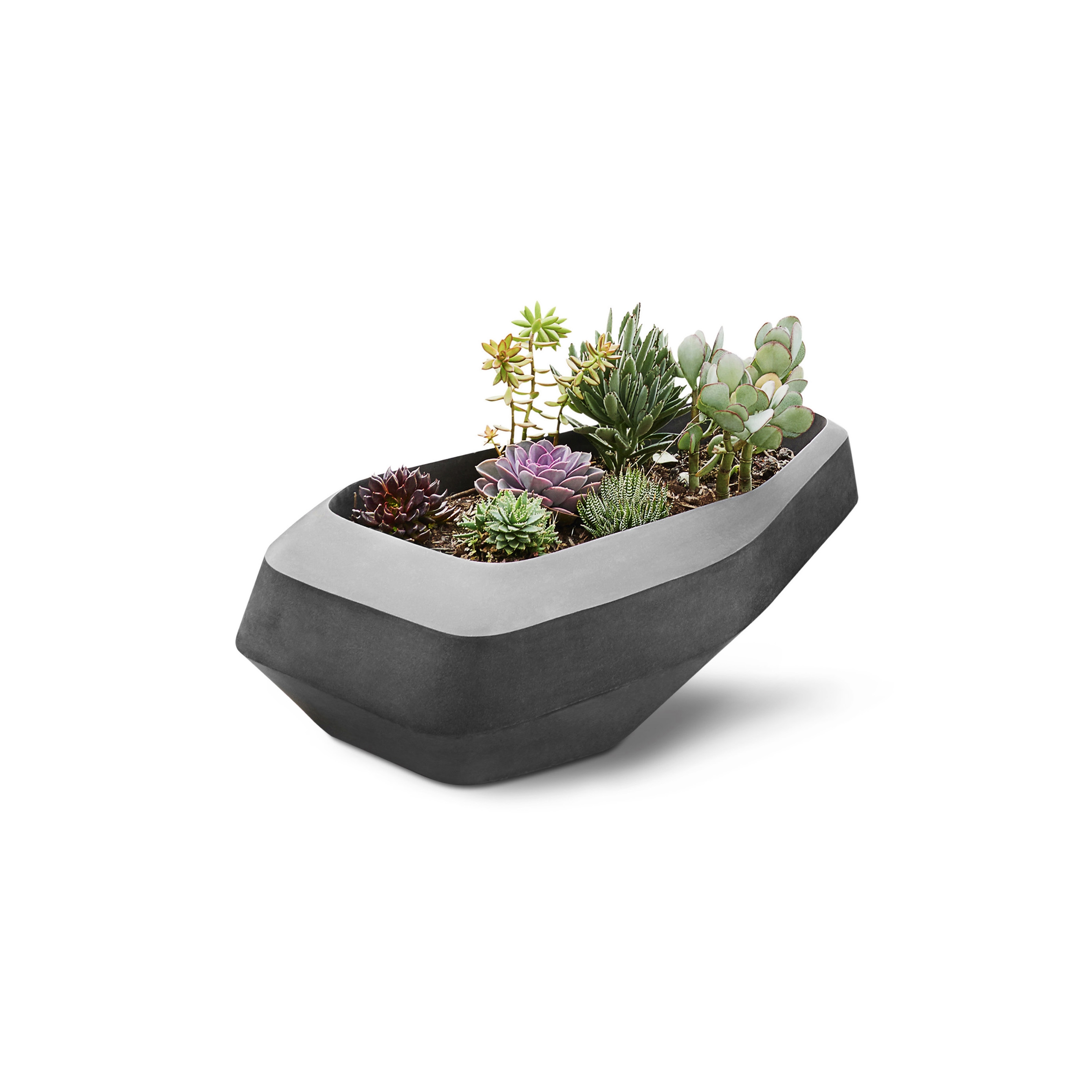 Display product Steen Large from manufacturer Indigenus