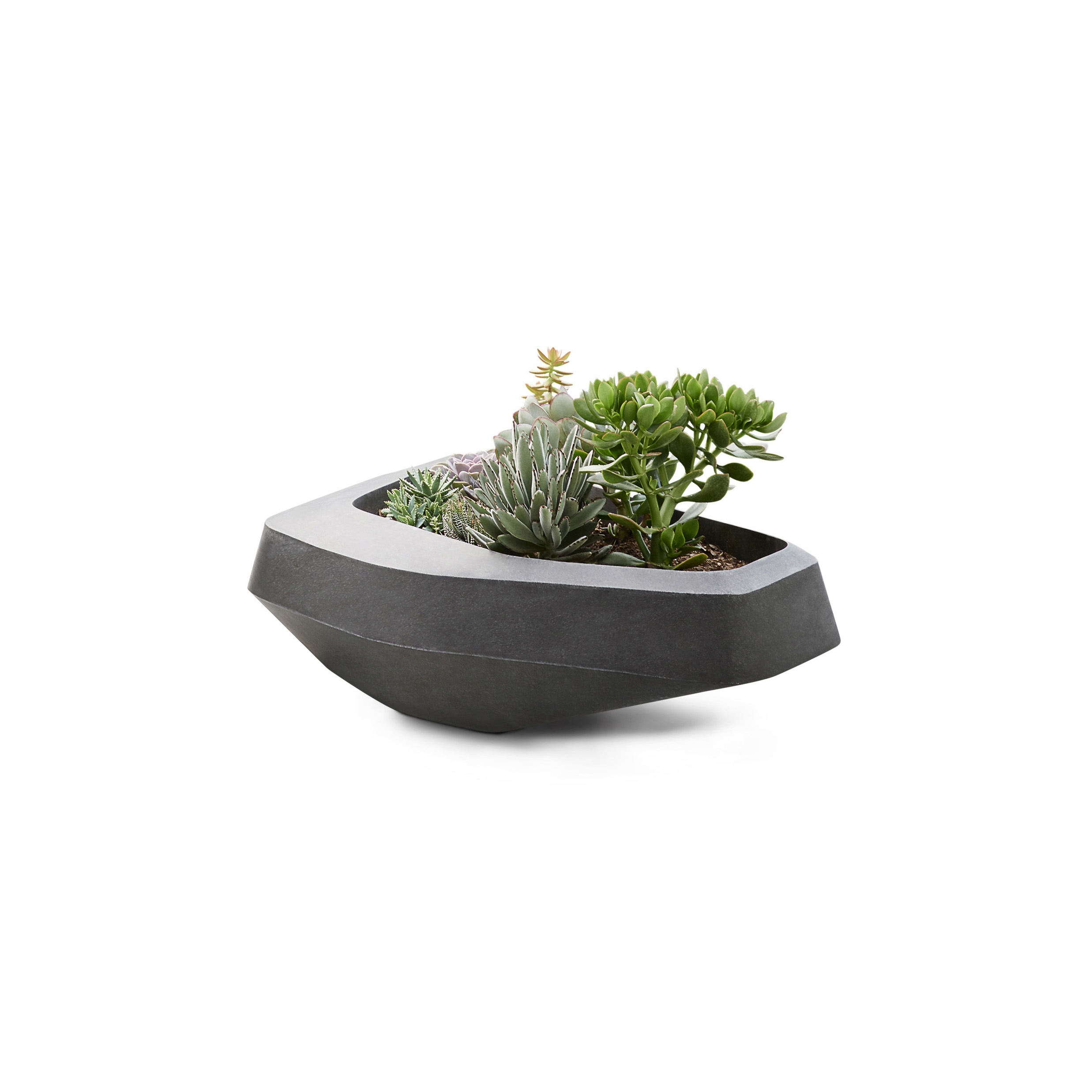 Display product Steen Medium from manufacturer Indigenus