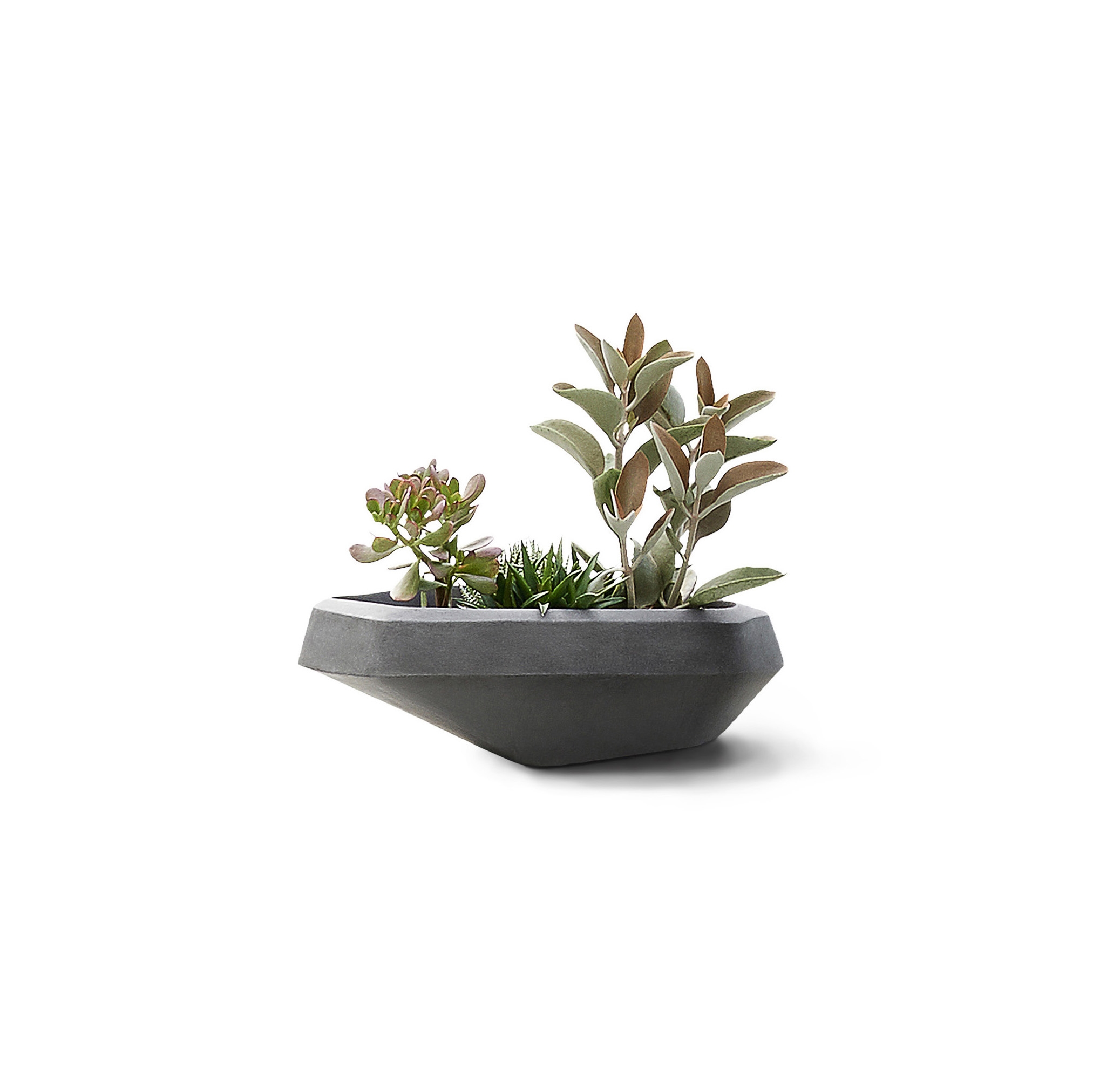 Display product Steen Small from manufacturer Indigenus