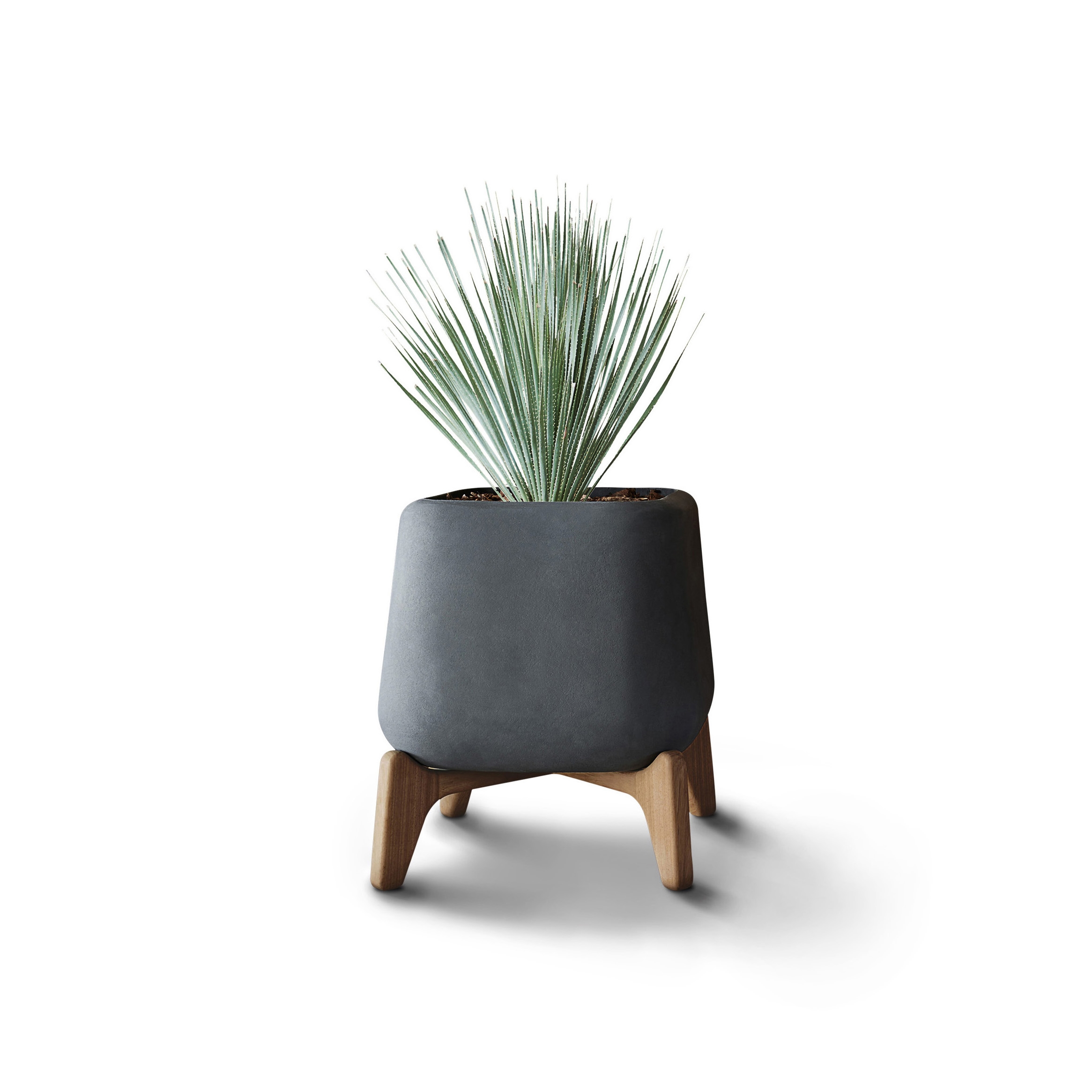 Display product Terra Square from manufacturer Indigenus