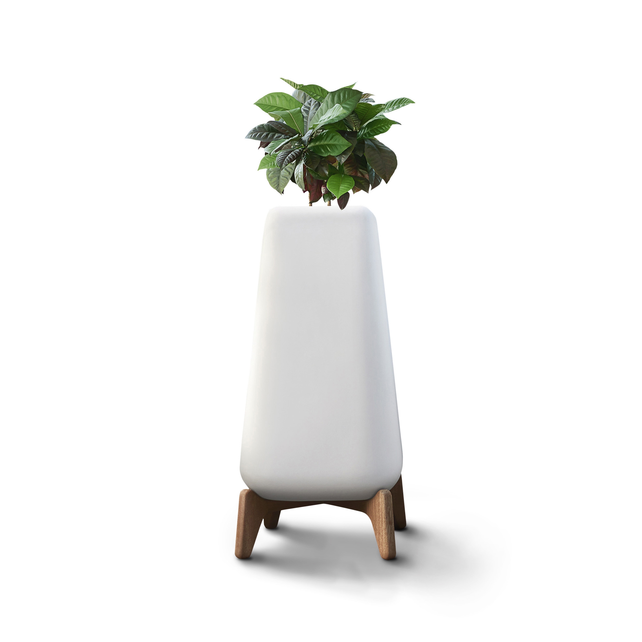 Display product Terra Tall from manufacturer Indigenus
