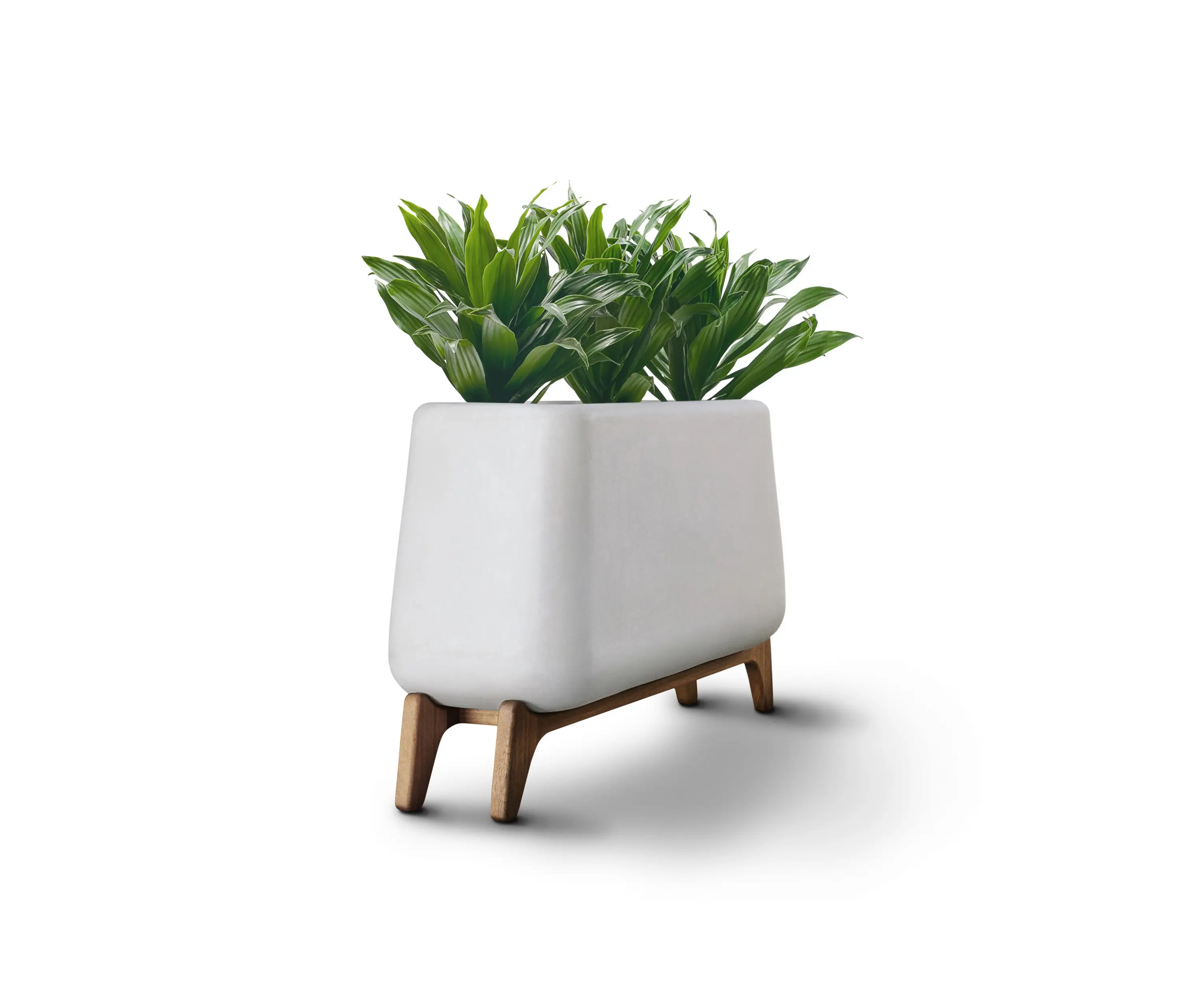 Indigenus - Terra Trough