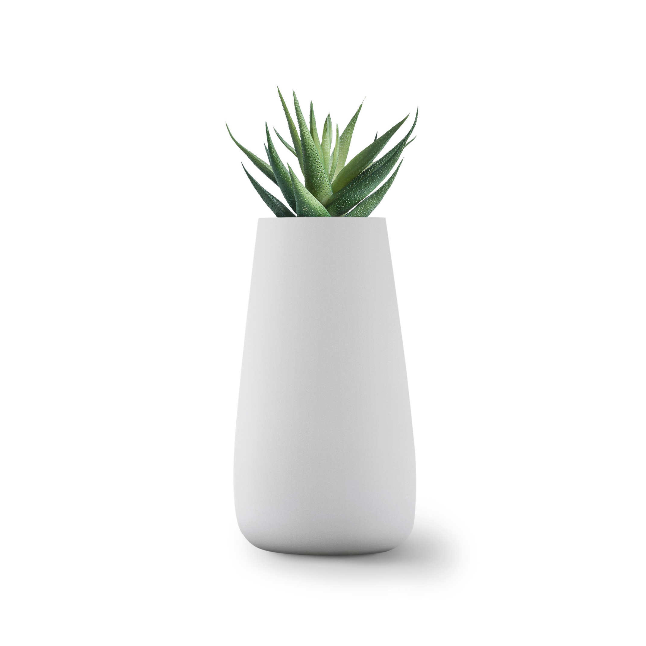 Display product Tuber Large Stone from manufacturer Indigenus