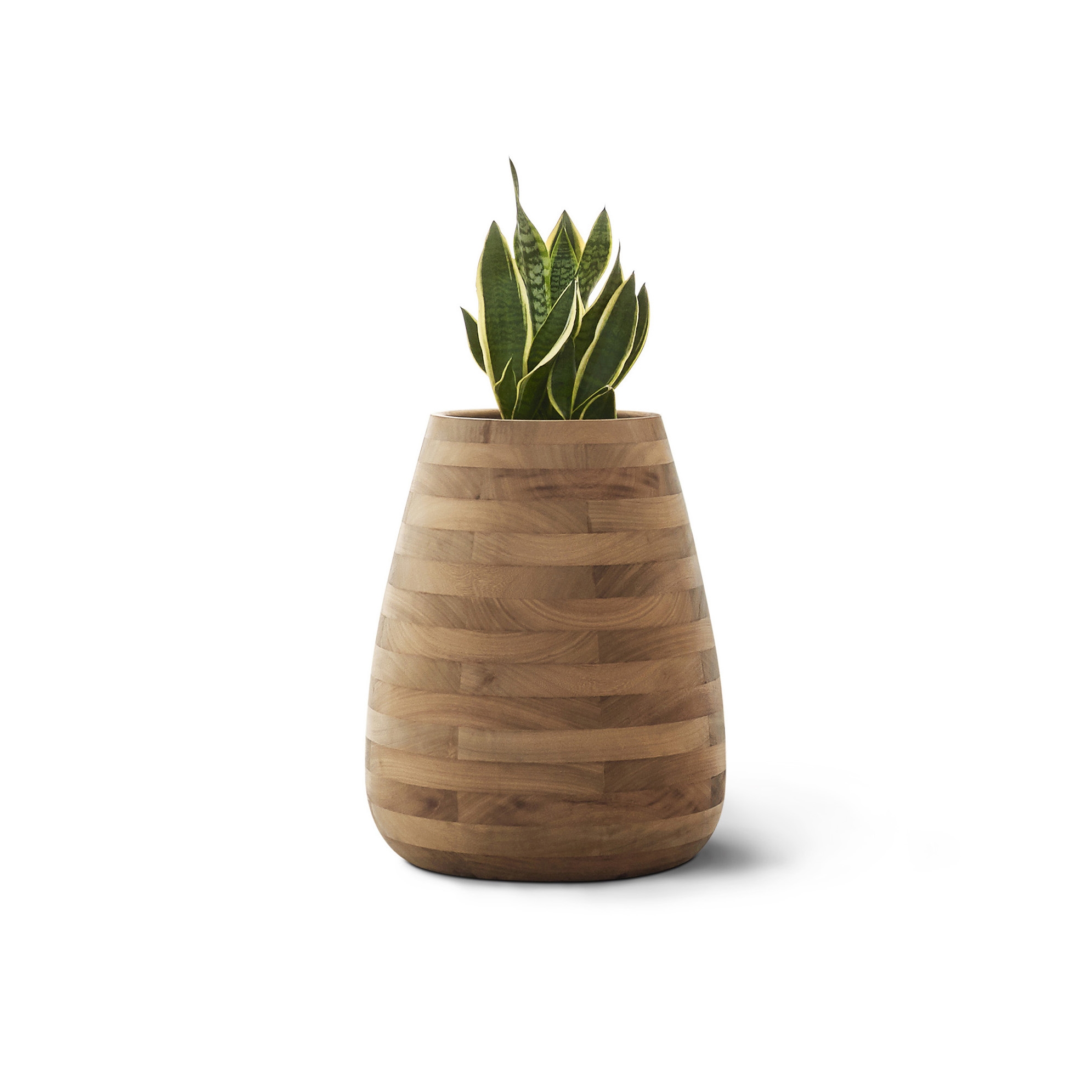 Produkt Tuber Medium Wood des Herstellers Indigenus anzeigen