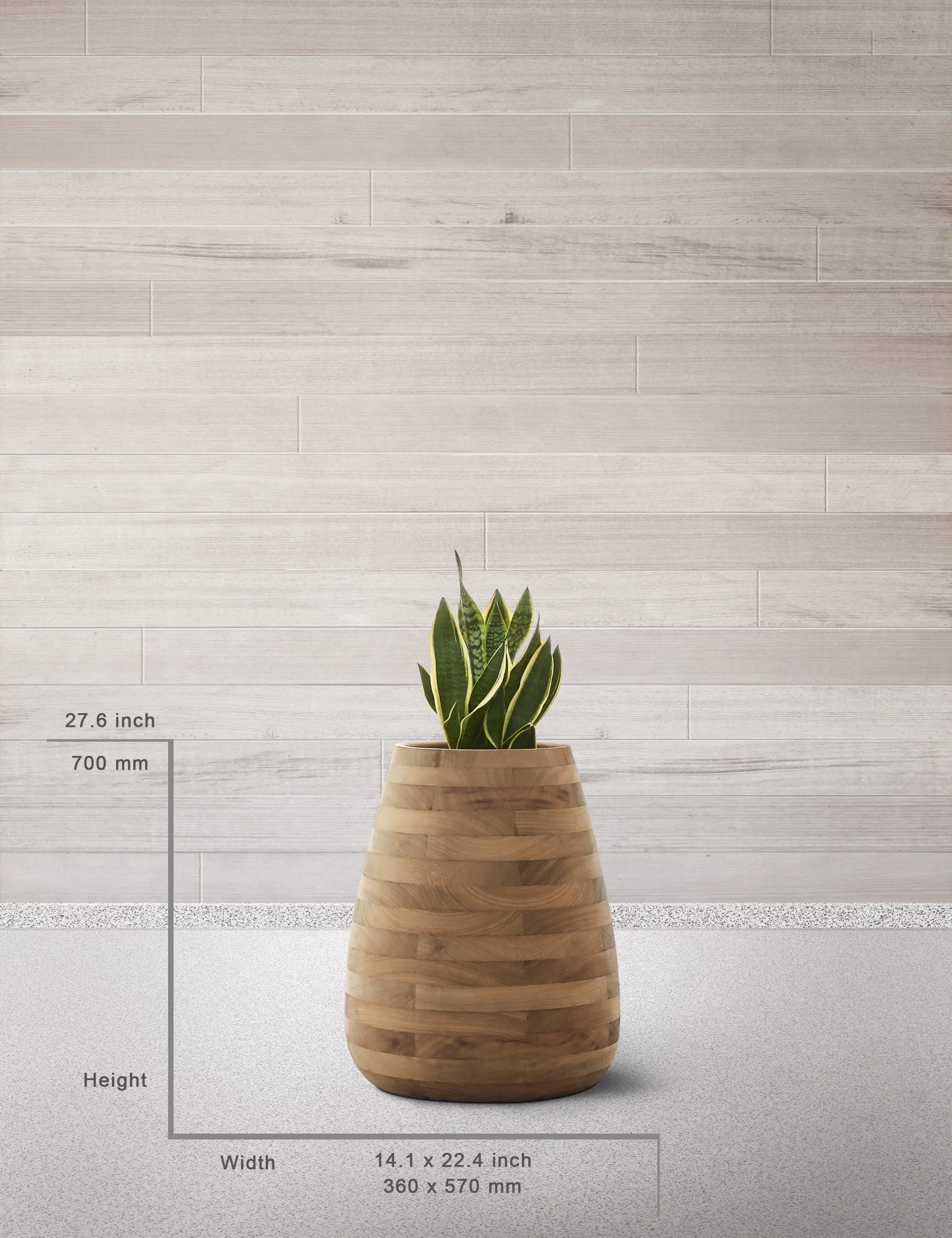 Indigenus - Tuber Medium Wood