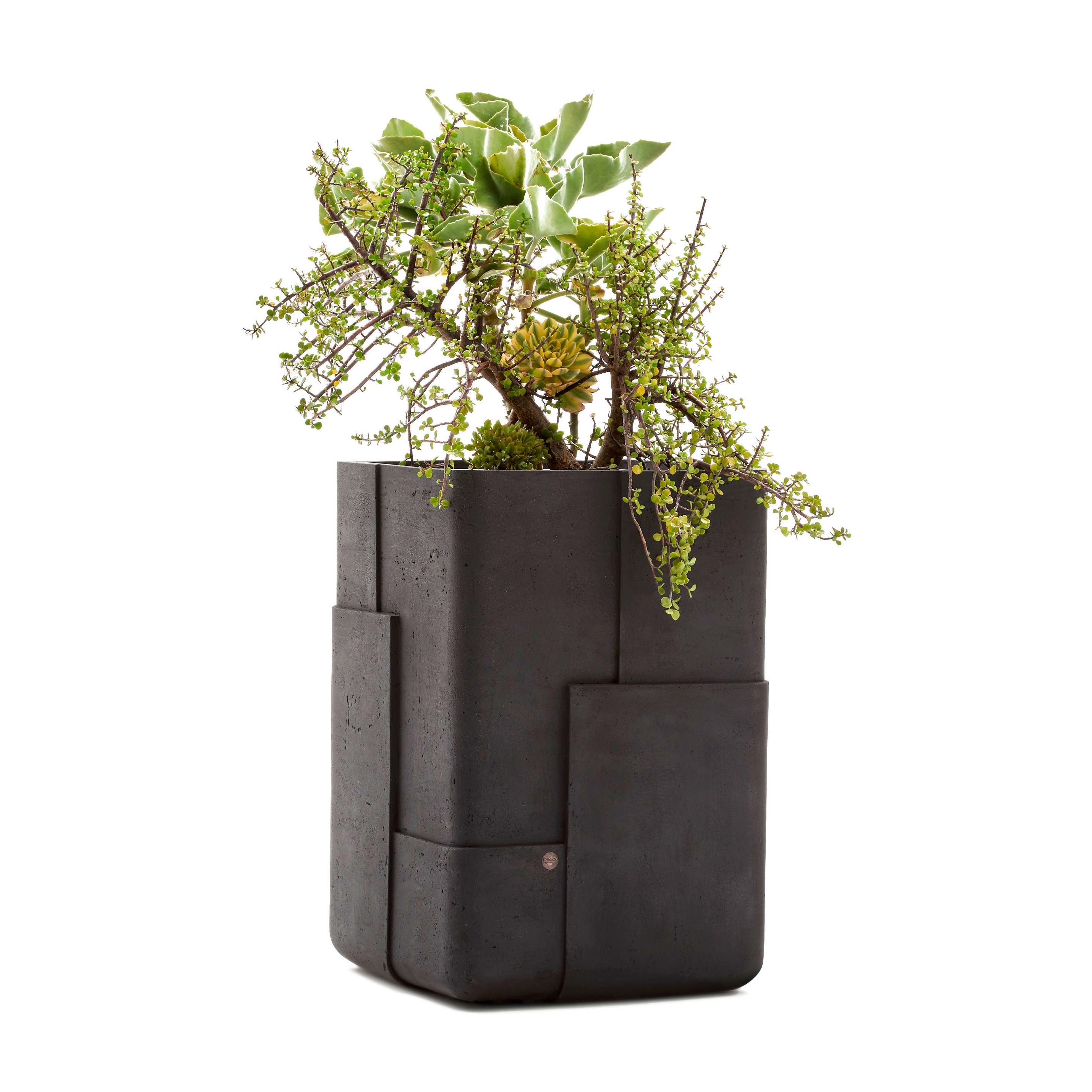 Display product Aarde Tall from manufacturer Indigenus