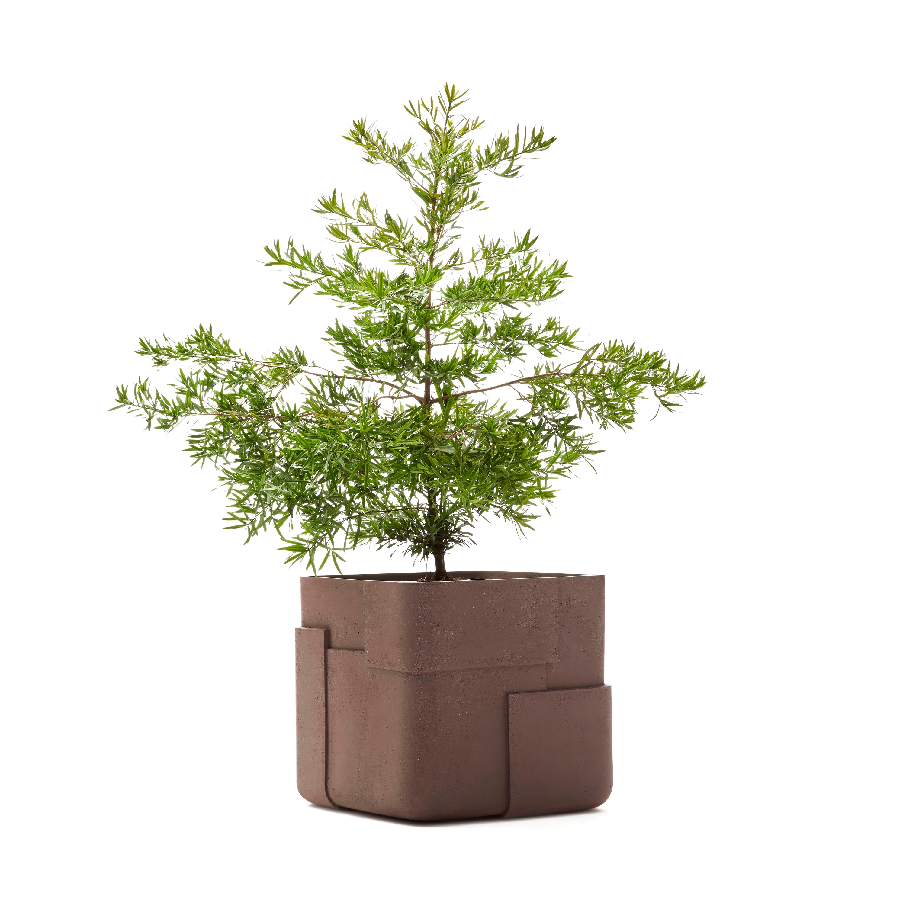 Display product Aarde Square from manufacturer Indigenus