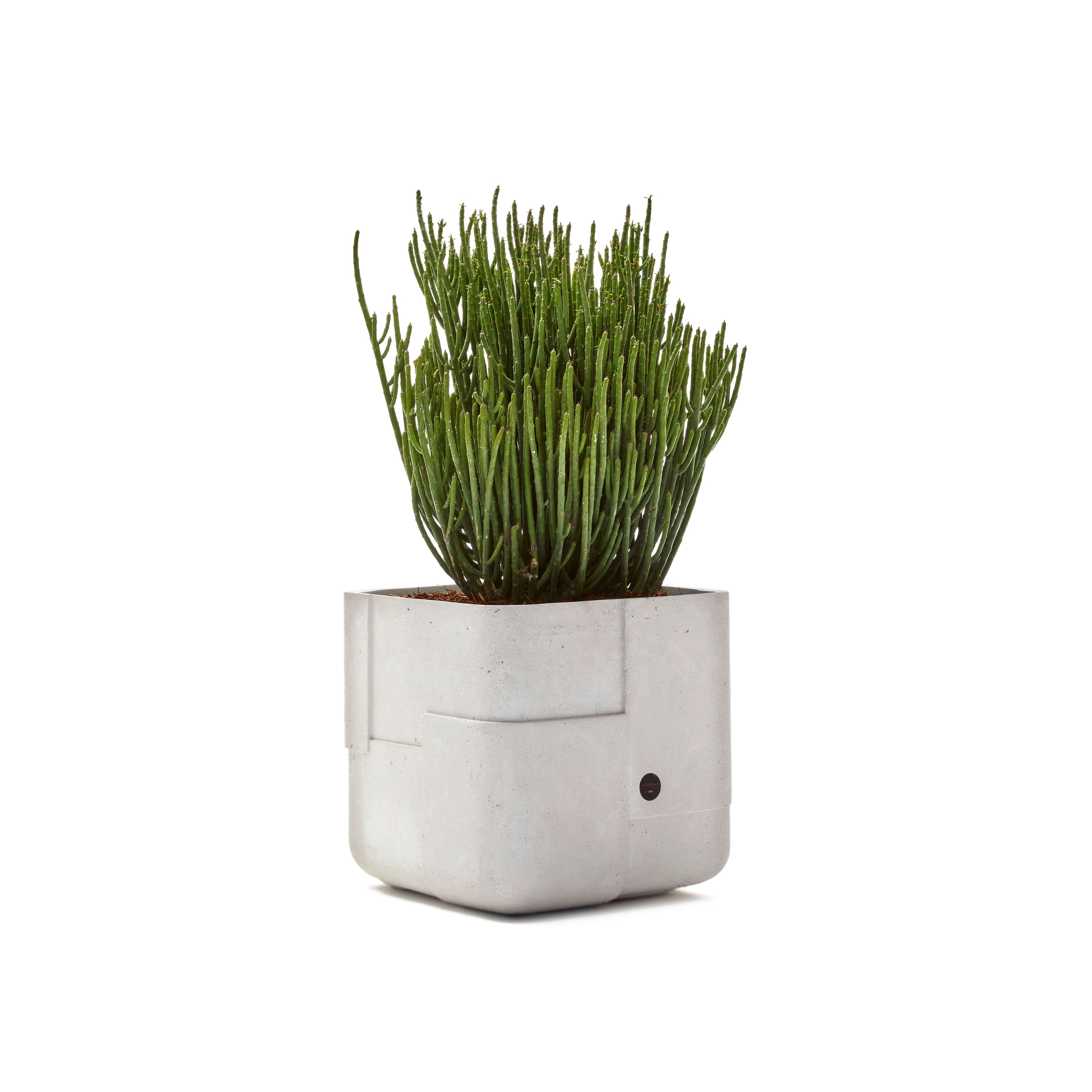 Display product Aarde Square XS from manufacturer Indigenus