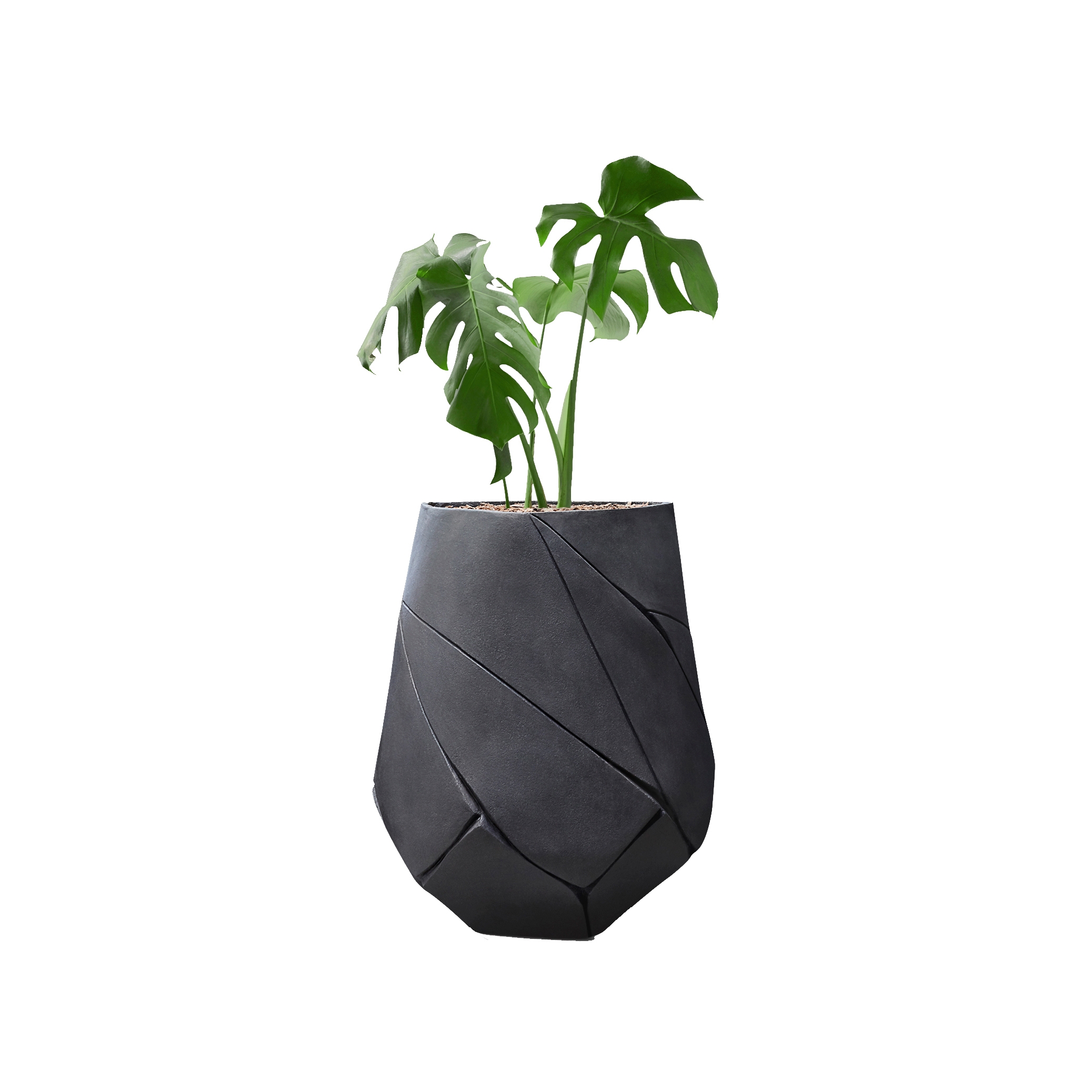 Display product Bhaca XS from manufacturer Indigenus
