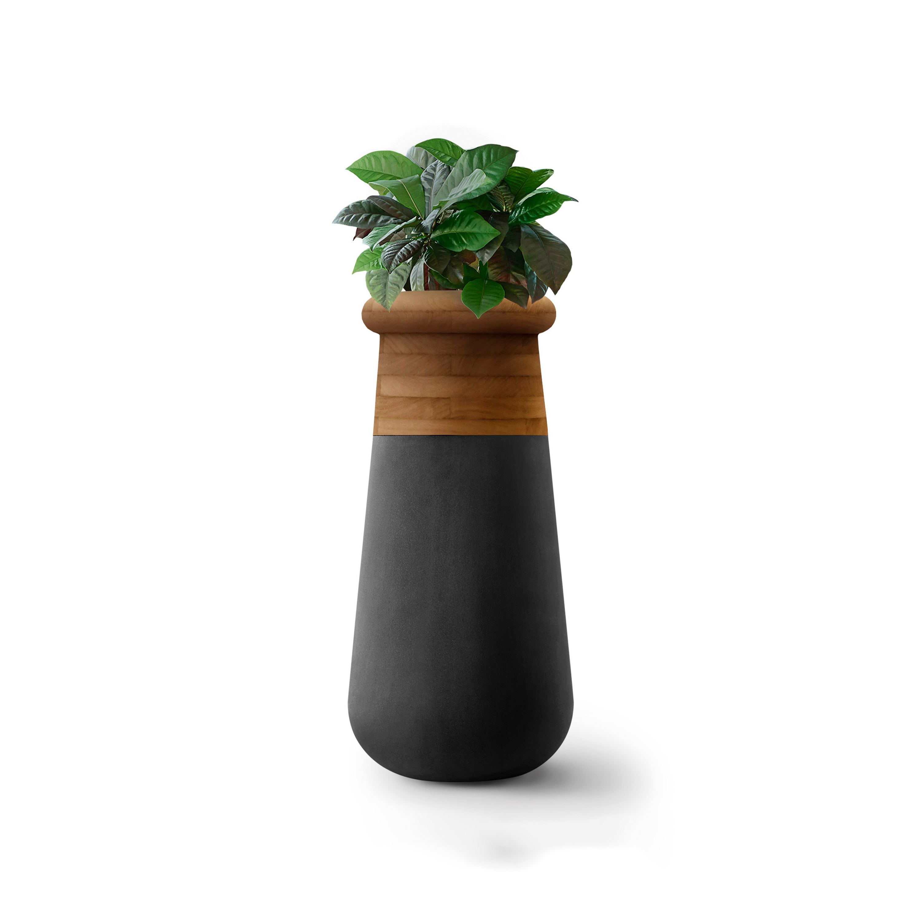 Produkt Soma Slim XS Wood Top des Herstellers Indigenus anzeigen