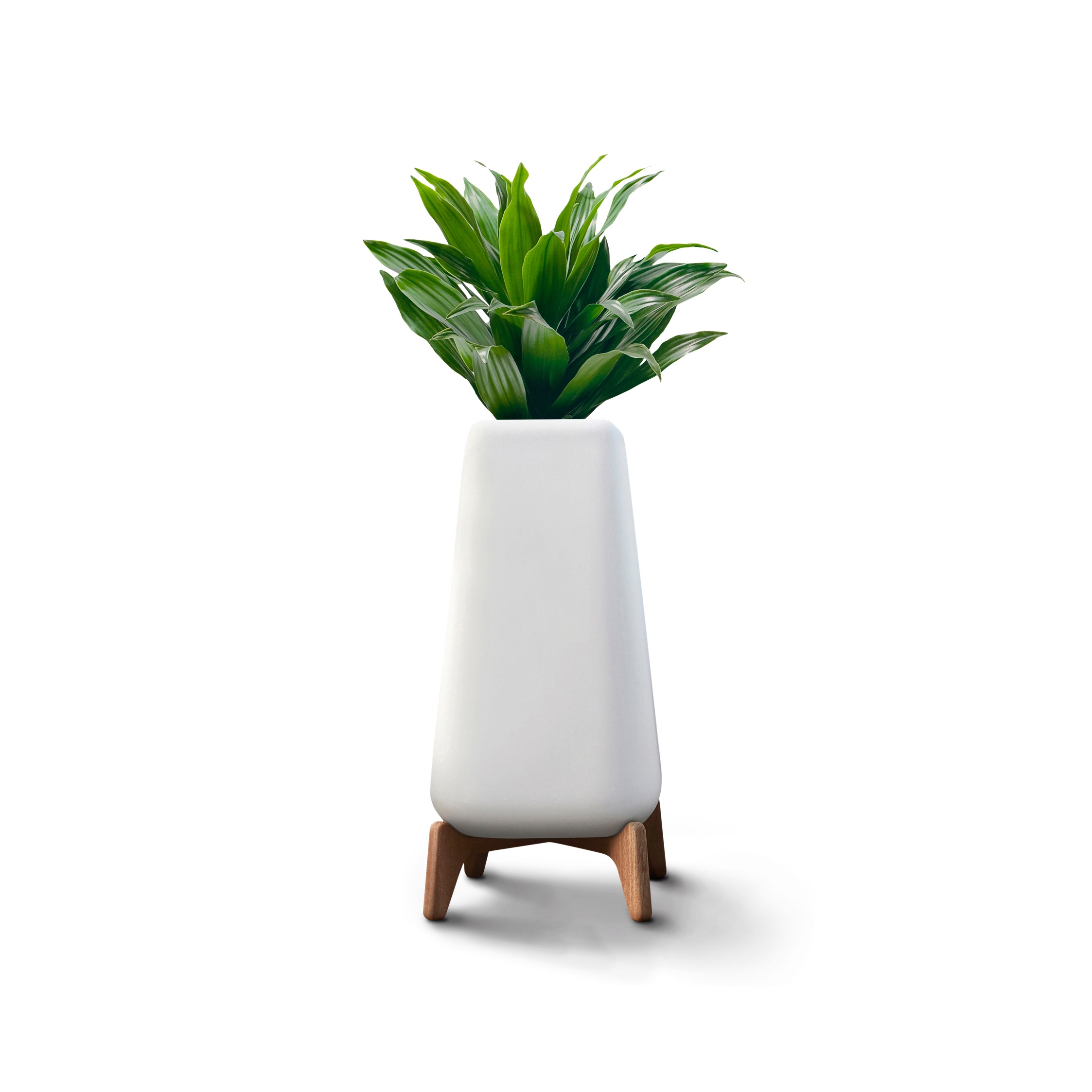 Display product Terra Tall XS from manufacturer Indigenus