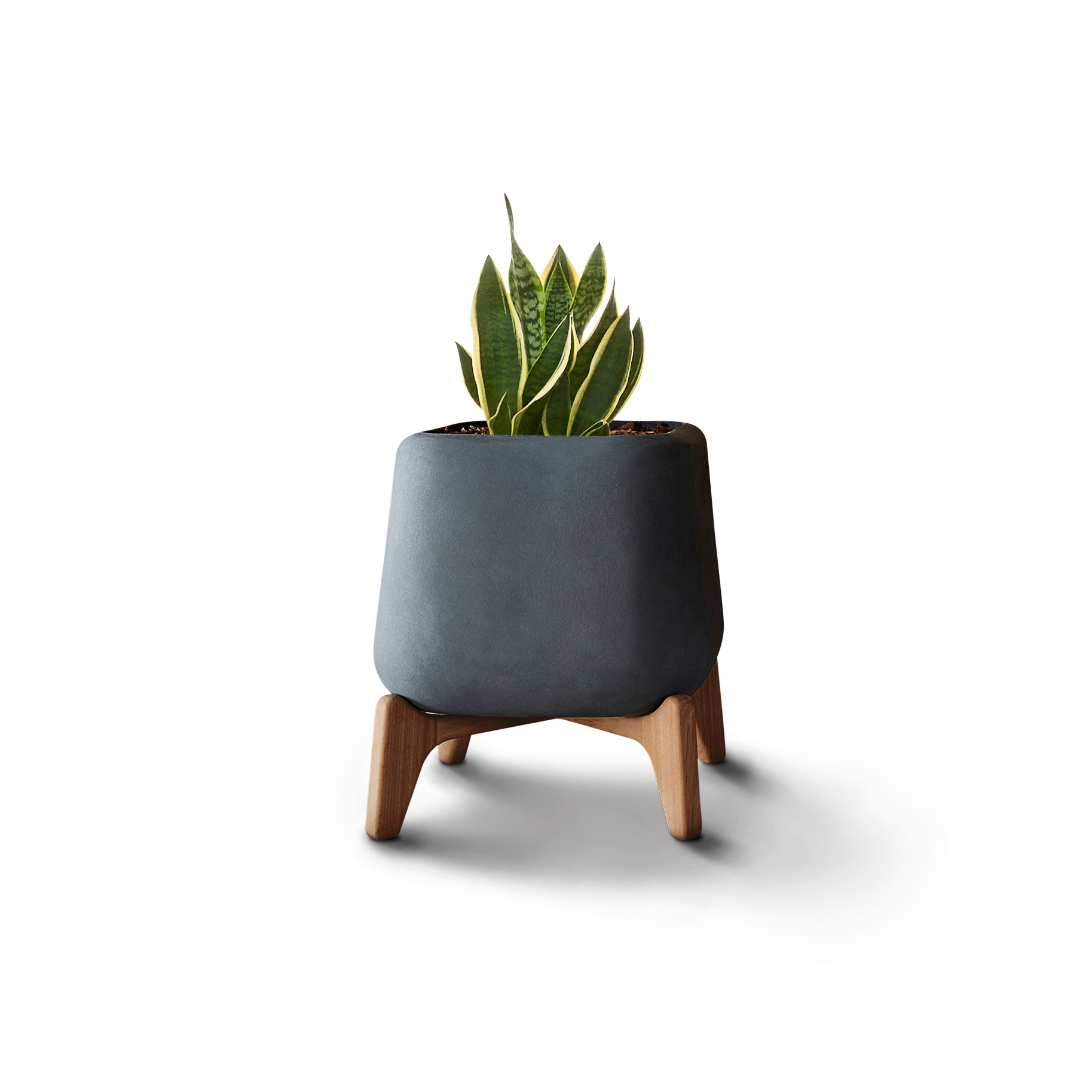 Produkt Terra Square XS des Herstellers Indigenus anzeigen