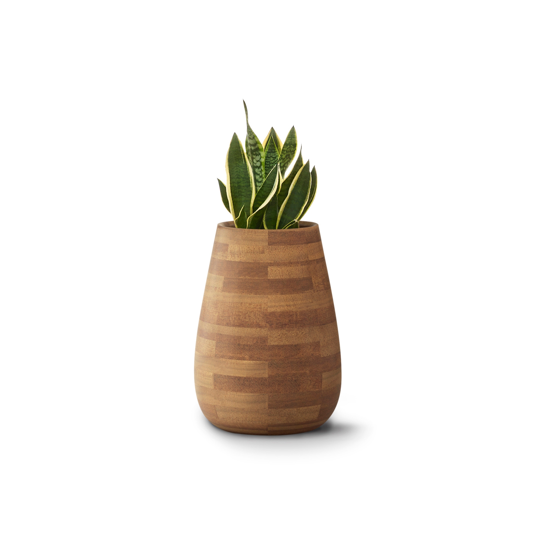 Produkt Tuber XS Wood des Herstellers Indigenus anzeigen