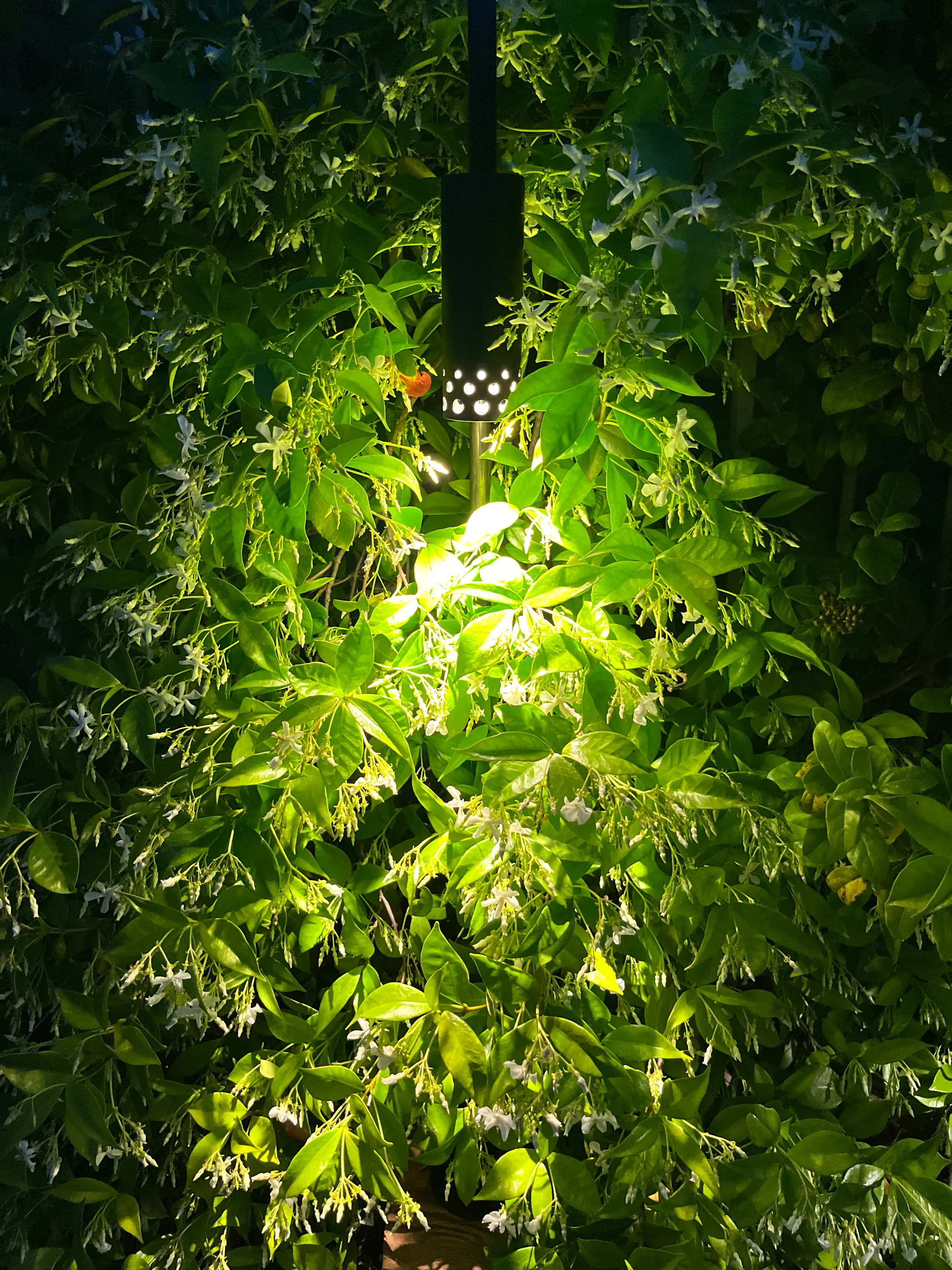 LYX Luminaires - Paletto LED | ELYXIR